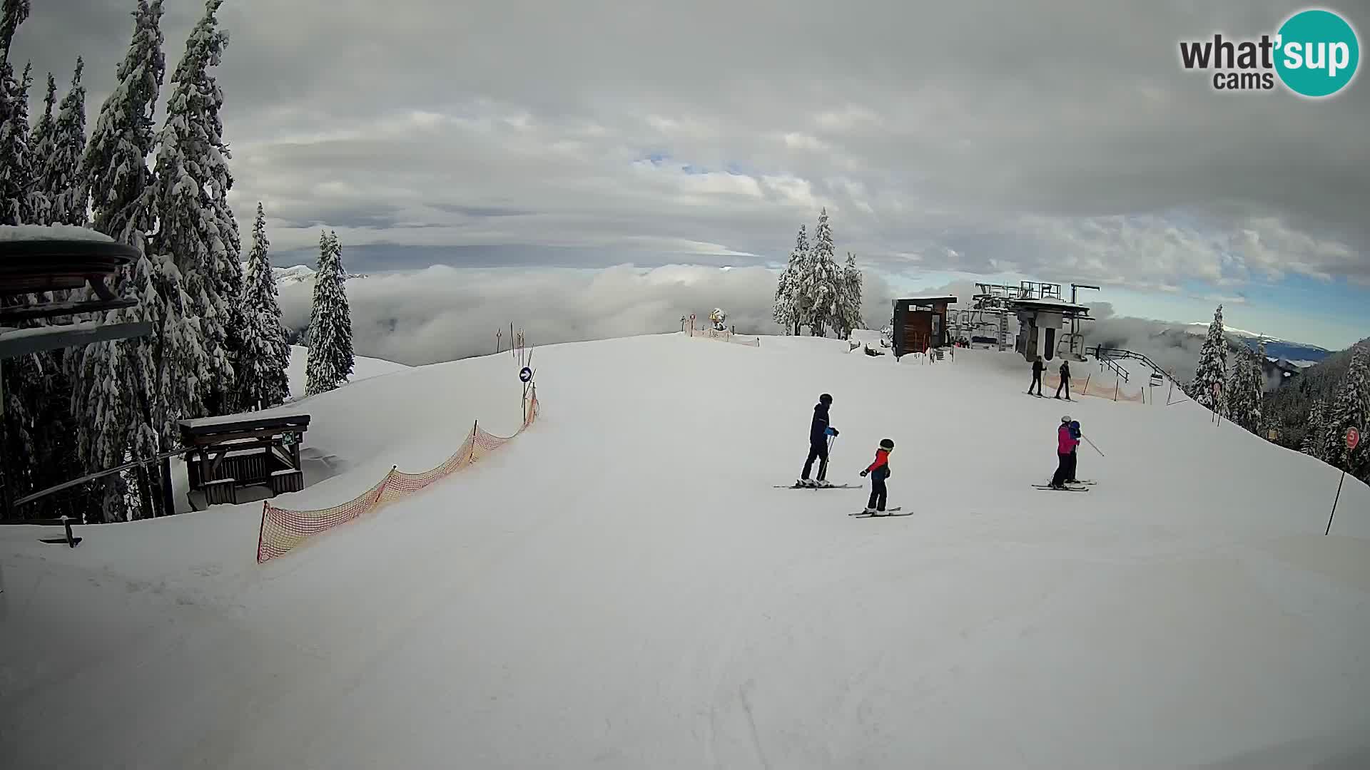 LIVE Webcam Skigebiet Golte – Hotel Montis