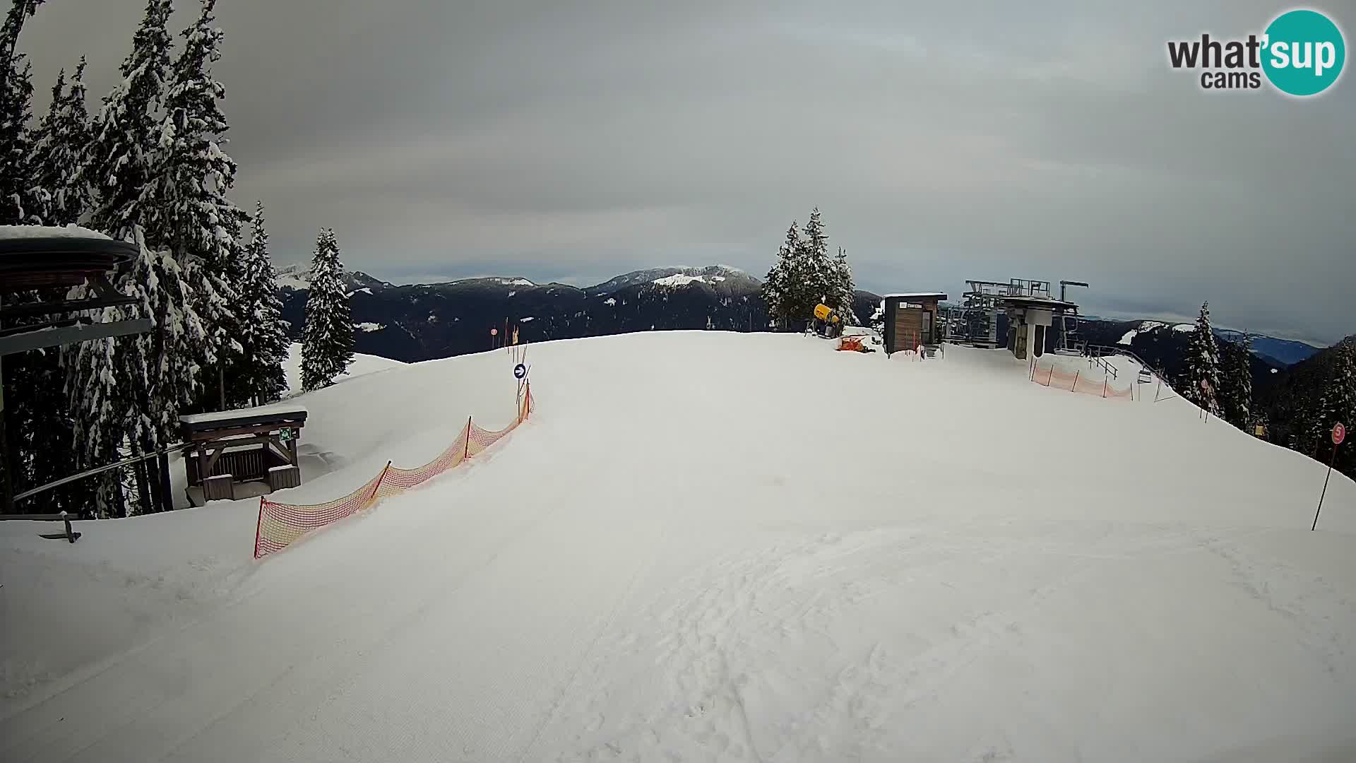 LIVE Webcam Skigebiet Golte – Hotel Montis