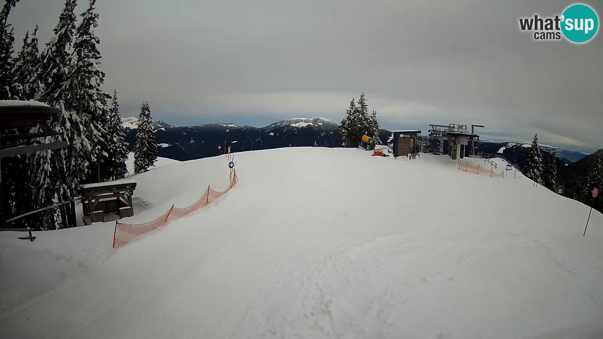 LIVE Webcam Skigebiet Golte – Hotel Montis