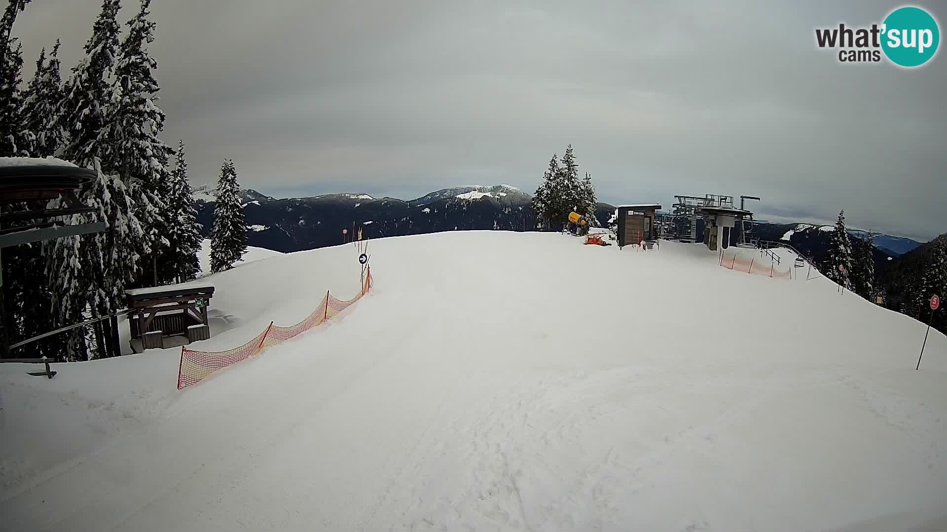 Livecam Station ski Golte – Hotel Montis