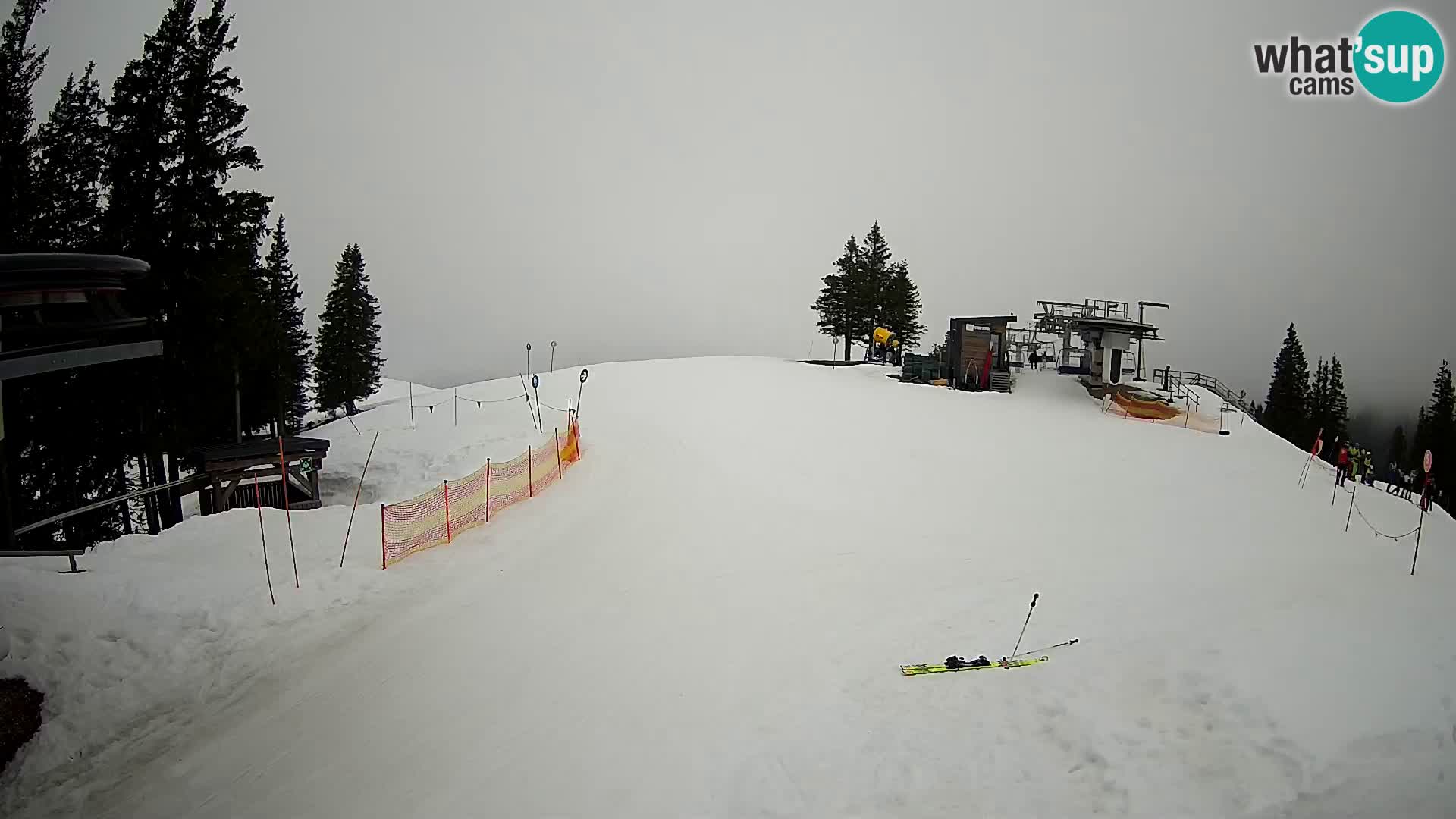 LIVE Webcam Skigebiet Golte – Hotel Montis
