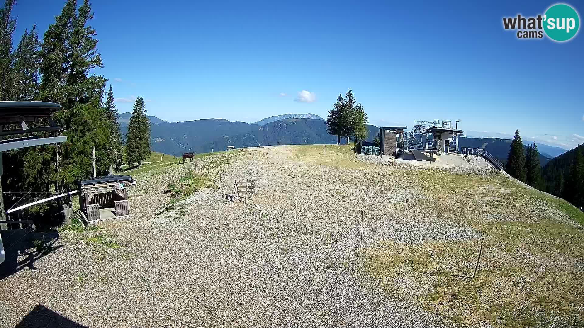 Webcam Ski resort Golte – Hotel Montis