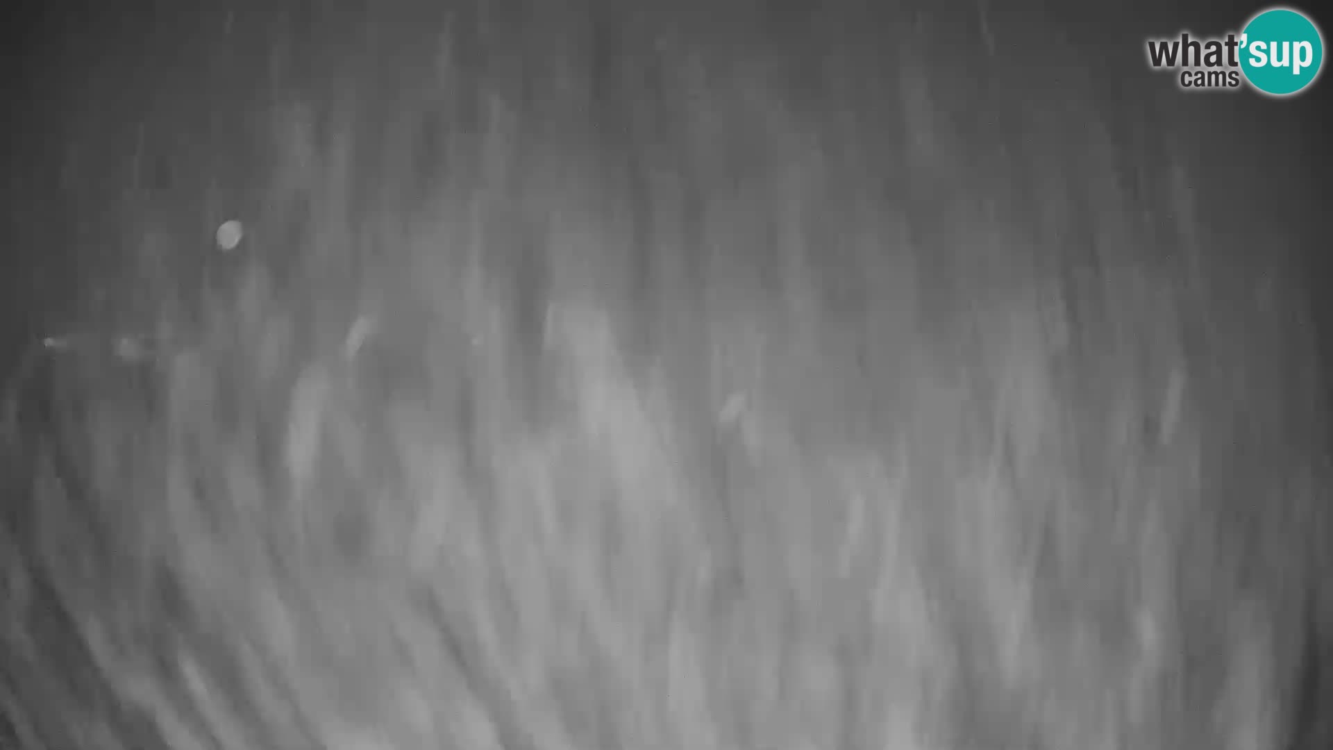 Ski center Golte Livecam – Slovenia