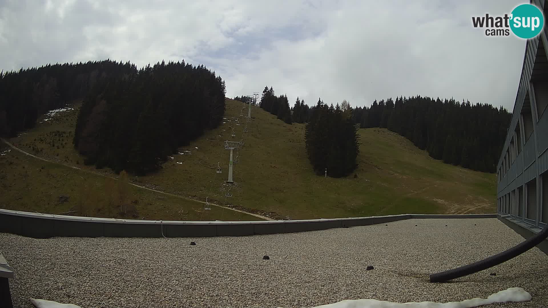GOLTE stazione sciistica webcam – vista Medvedjak – Slovenia