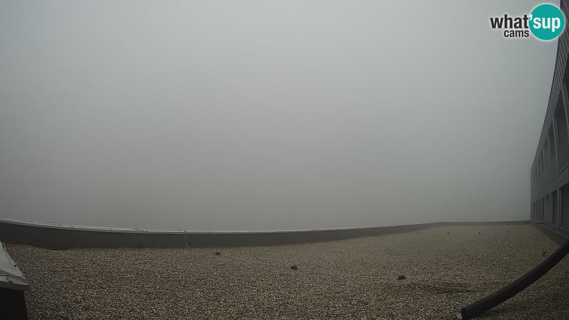 GOLTE Skigebiet webcam – Schöne Aussicht auf Medvedjak – Slowenien