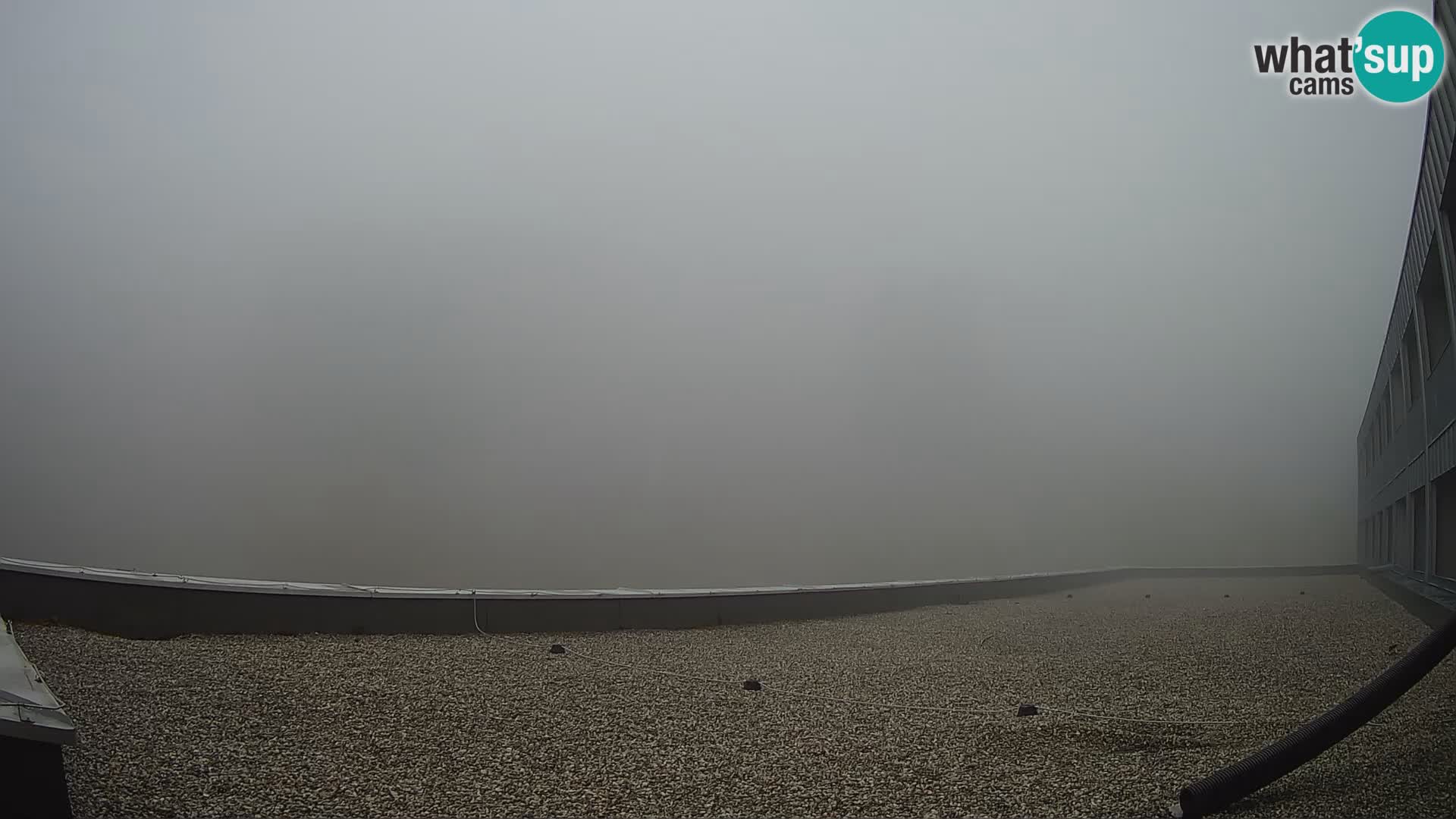 GOLTE Skigebiet webcam – Schöne Aussicht auf Medvedjak – Slowenien