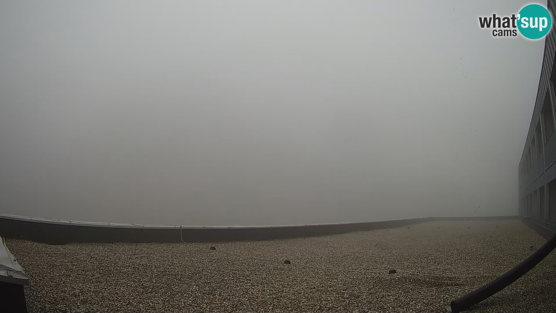 GOLTE Skigebiet webcam – Schöne Aussicht auf Medvedjak – Slowenien