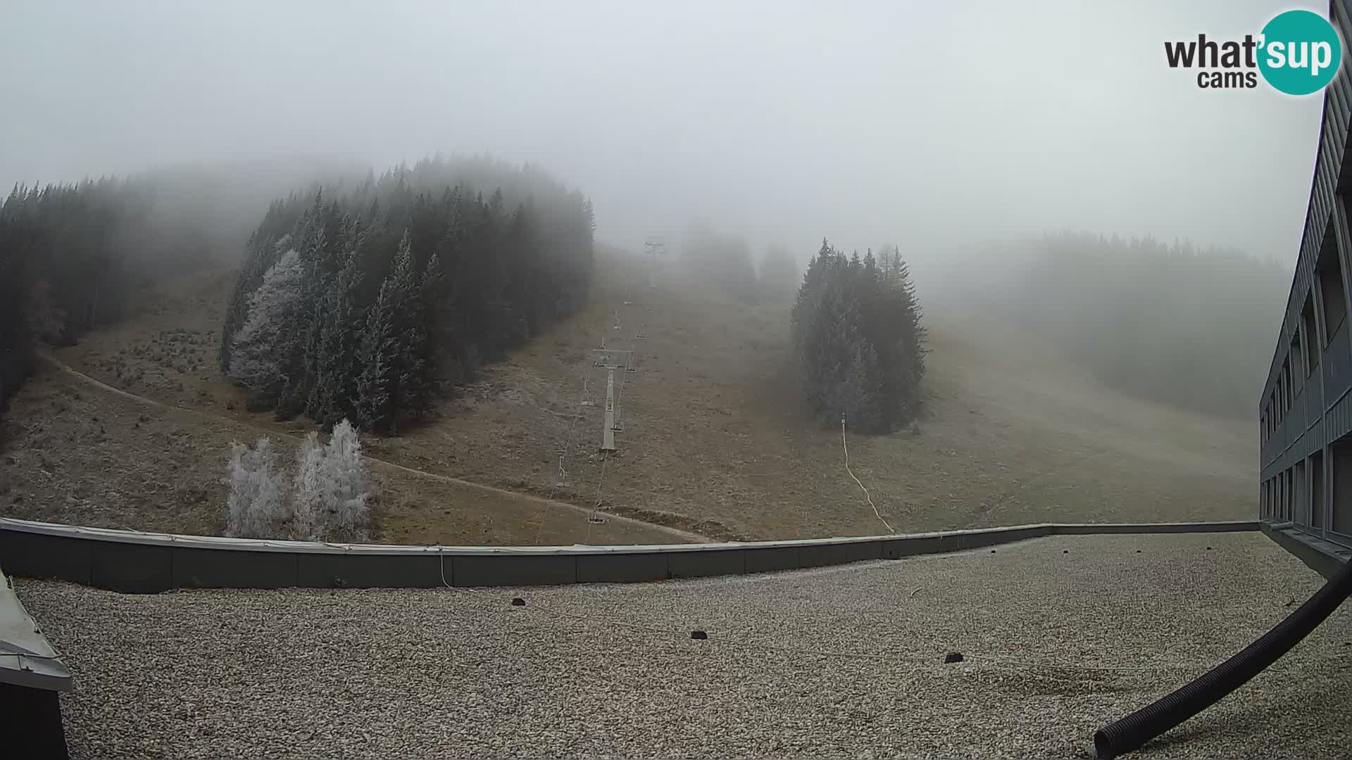 GOLTE stazione sciistica webcam – vista Medvedjak – Slovenia