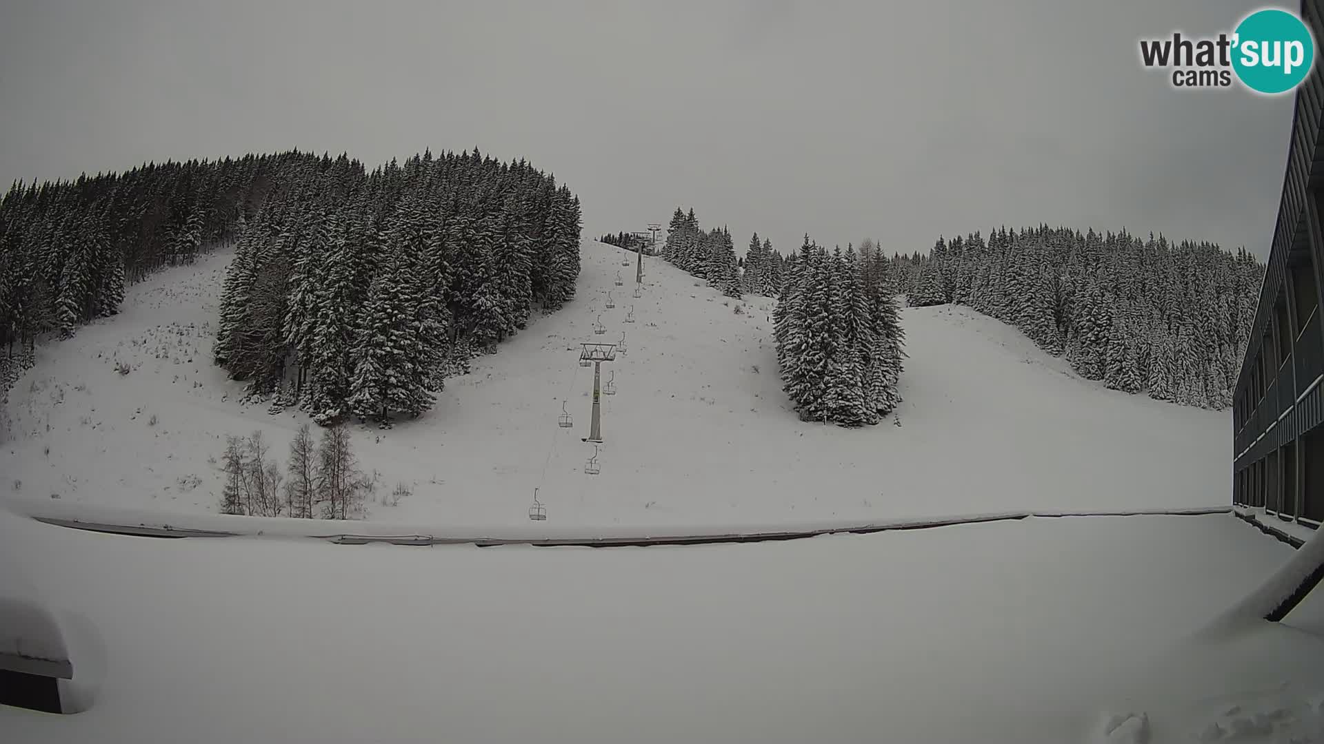 GOLTE Skigebiet webcam – Schöne Aussicht auf Medvedjak – Slowenien