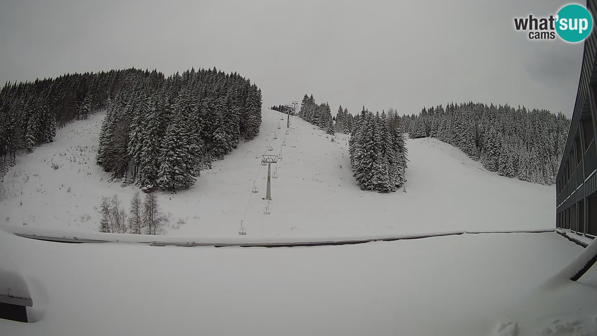 Spletna kamera smučišča GOLTE v živo – pogled na Medvedjak