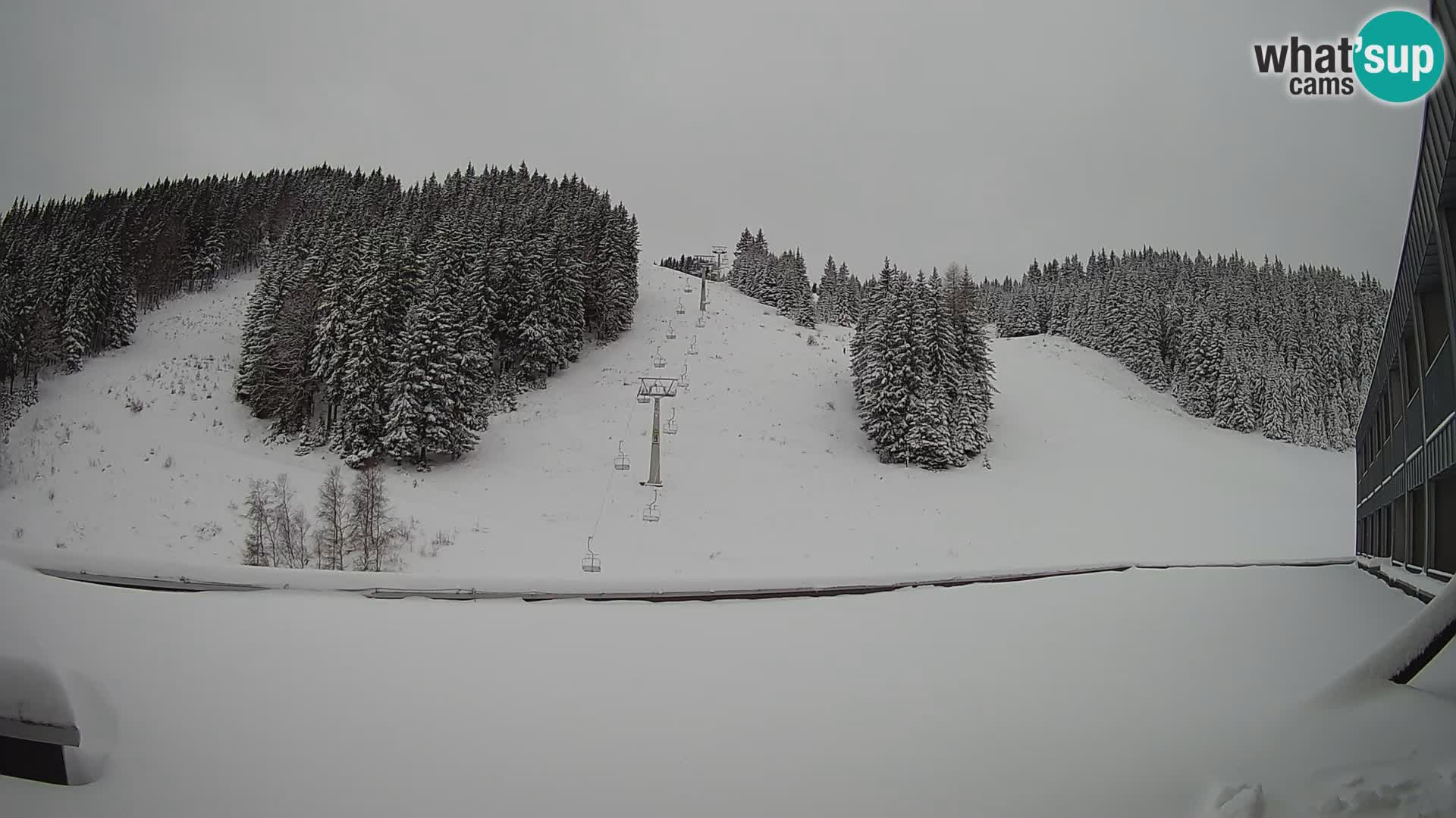 GOLTE Skigebiet webcam – Schöne Aussicht auf Medvedjak – Slowenien