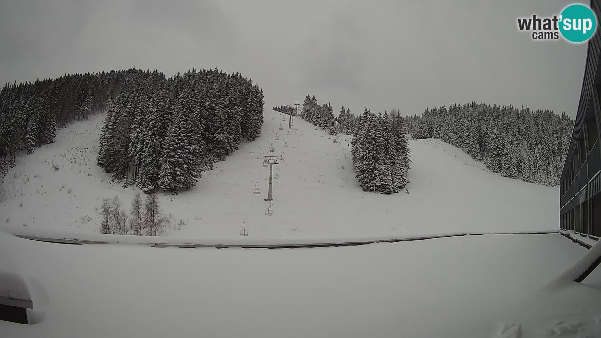 GOLTE Skigebiet webcam – Schöne Aussicht auf Medvedjak – Slowenien