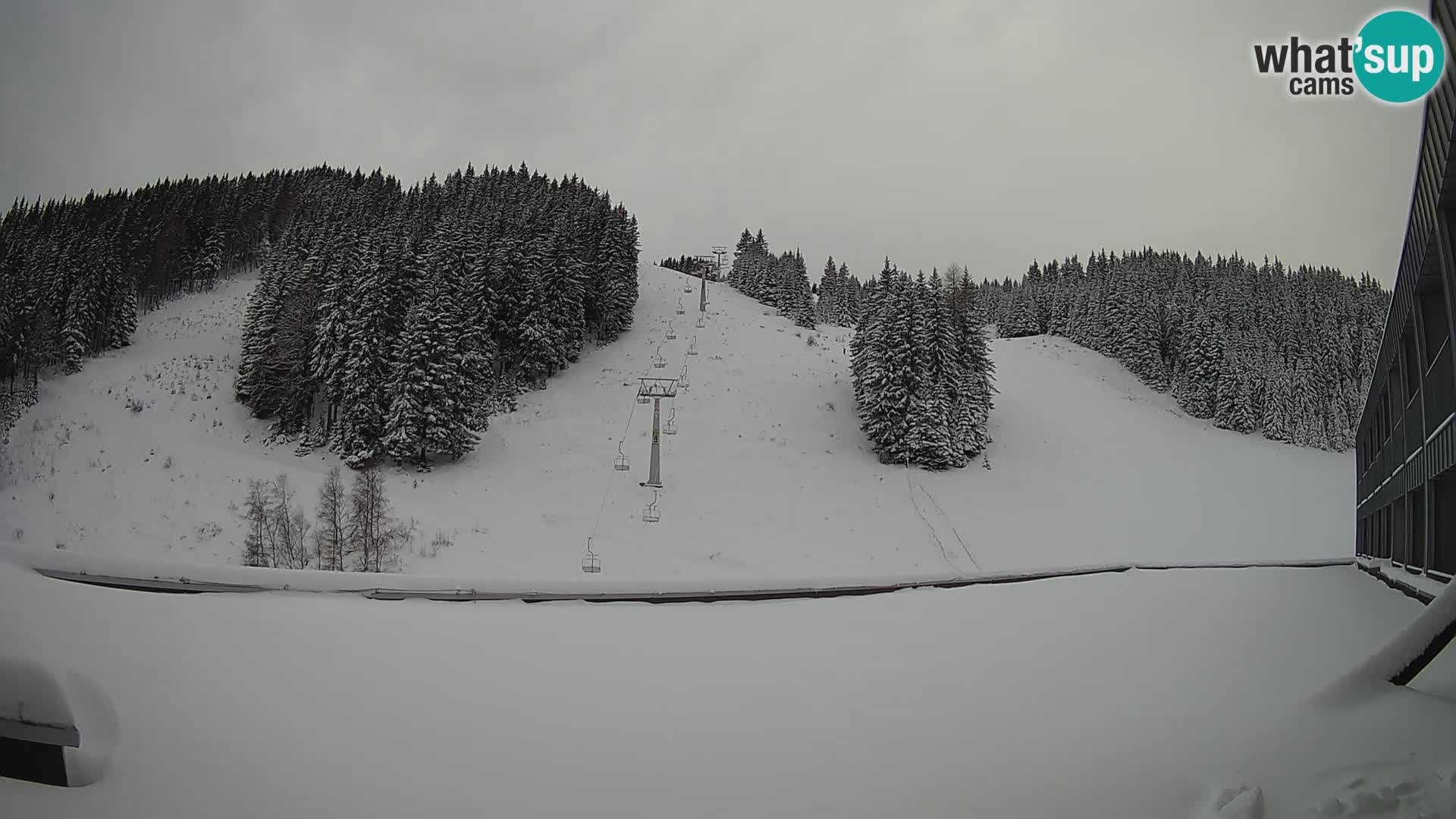 GOLTE Skigebiet webcam – Schöne Aussicht auf Medvedjak – Slowenien