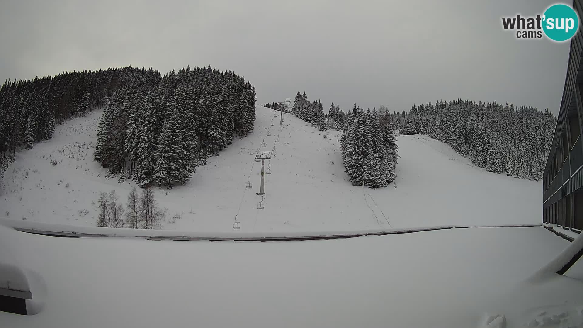 GOLTE Skigebiet webcam – Schöne Aussicht auf Medvedjak – Slowenien