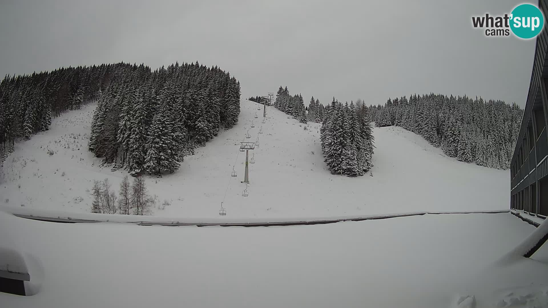 GOLTE Skigebiet webcam – Schöne Aussicht auf Medvedjak – Slowenien