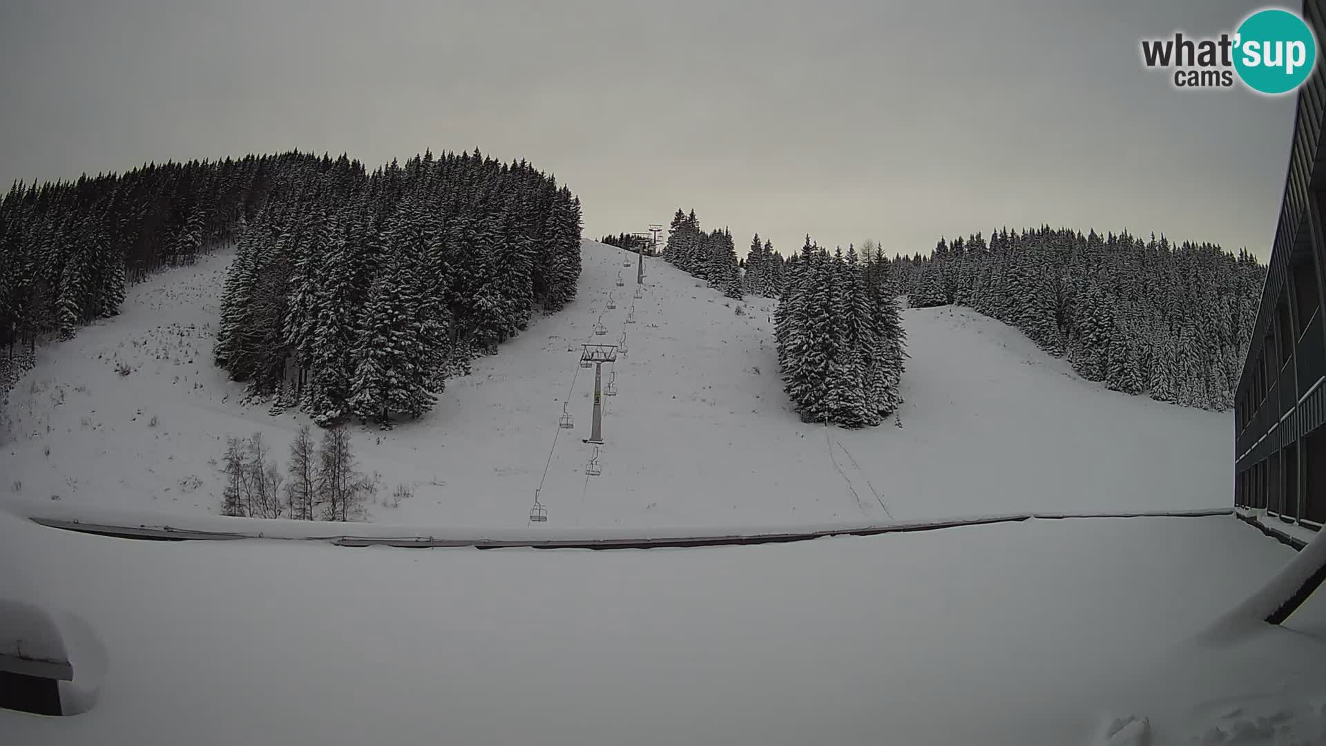 GOLTE Skigebiet webcam – Schöne Aussicht auf Medvedjak – Slowenien