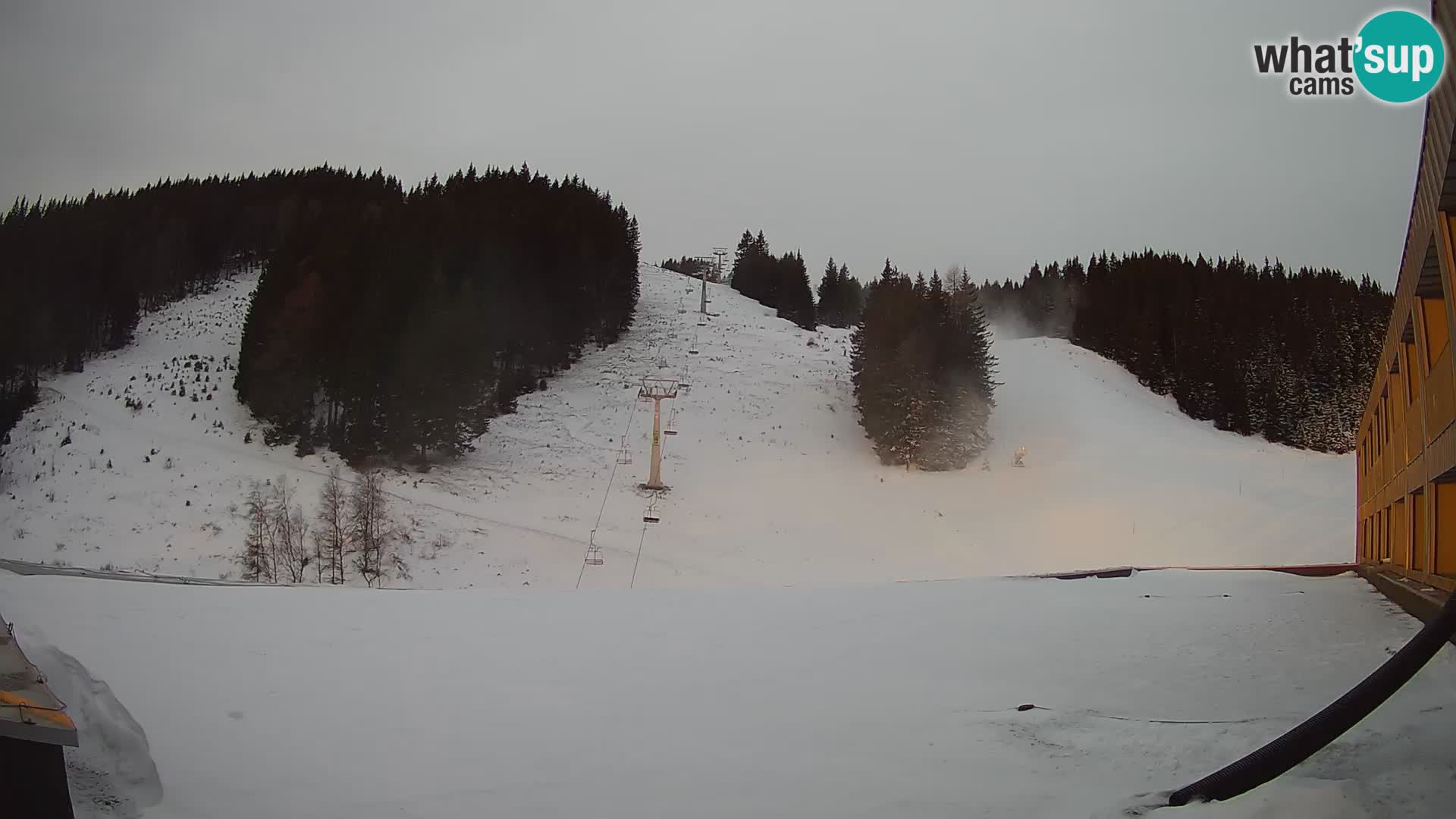 GOLTE Skigebiet webcam – Schöne Aussicht auf Medvedjak – Slowenien