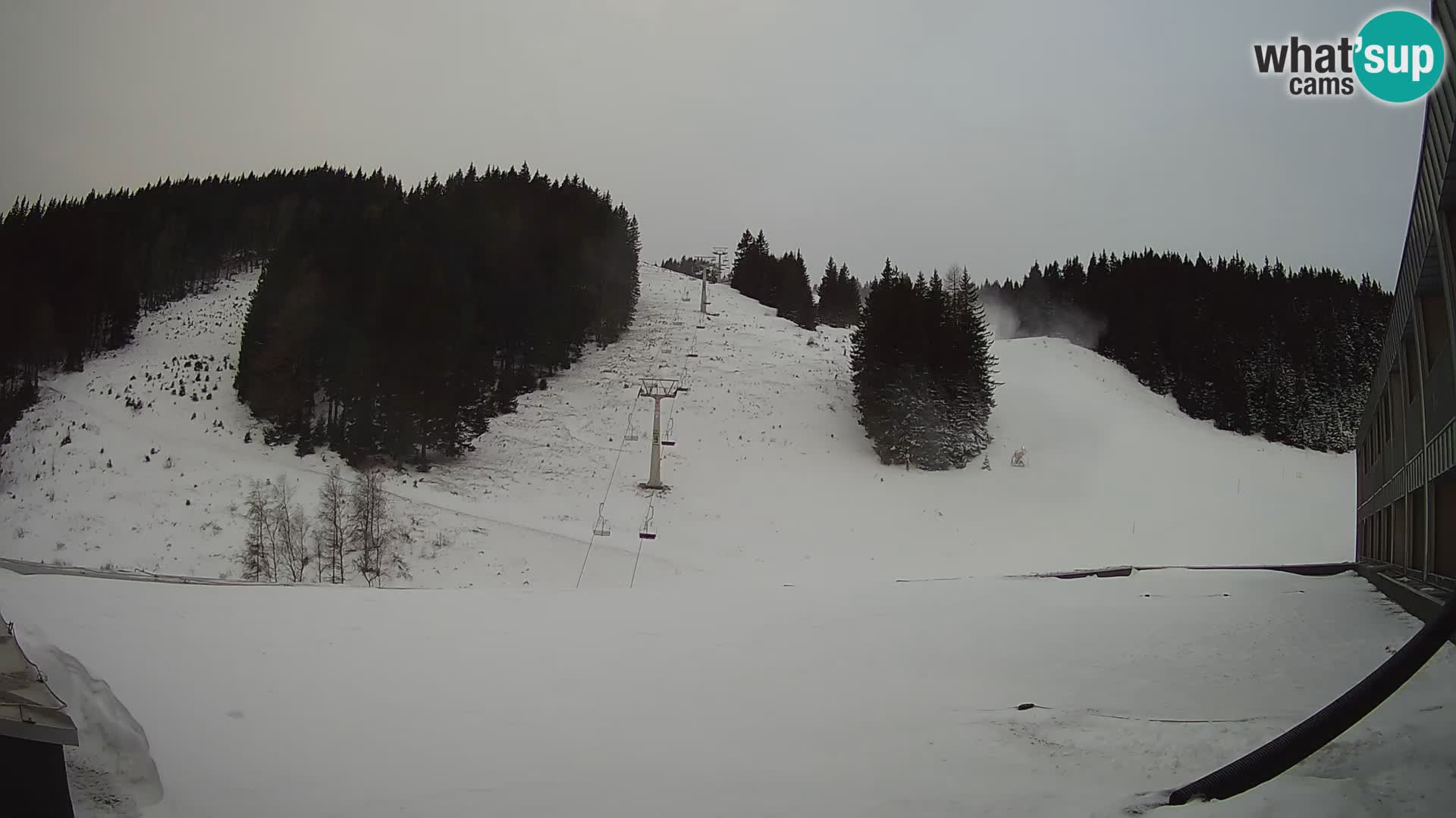 GOLTE Skigebiet webcam – Schöne Aussicht auf Medvedjak – Slowenien