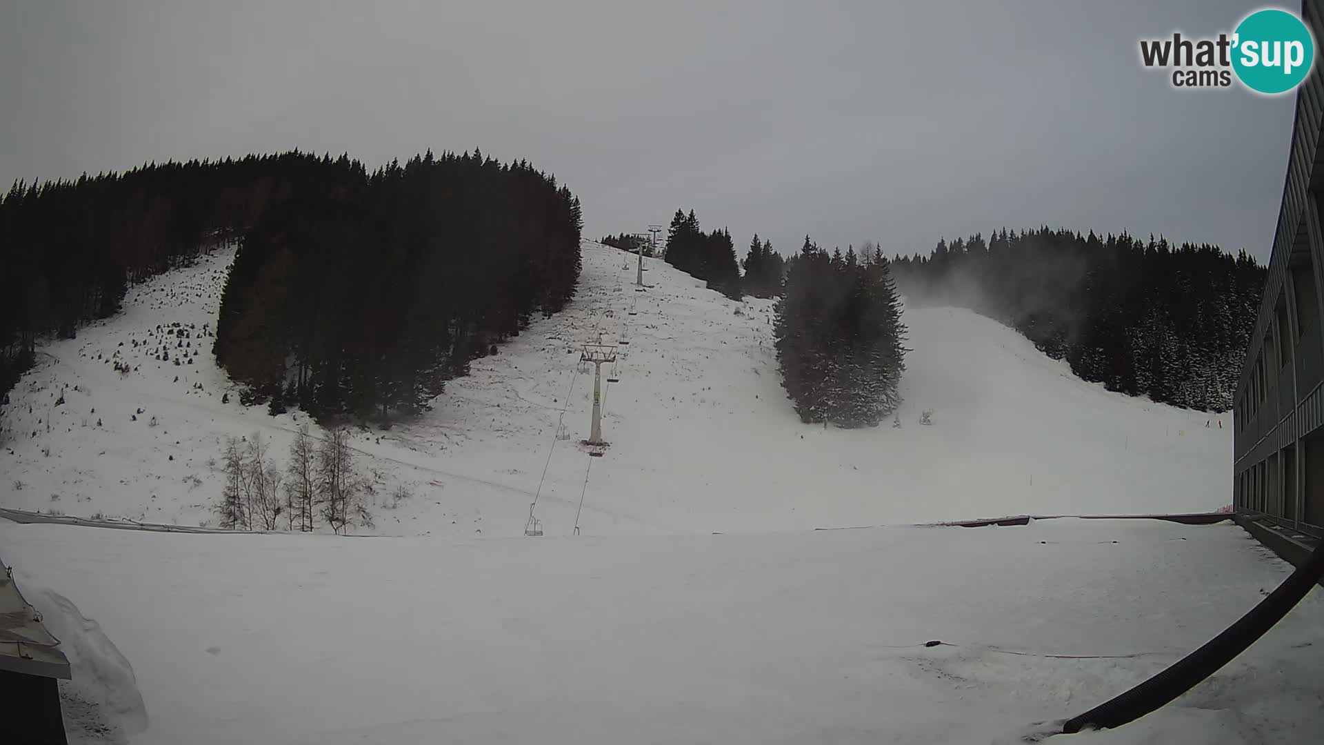 GOLTE Skigebiet webcam – Schöne Aussicht auf Medvedjak – Slowenien