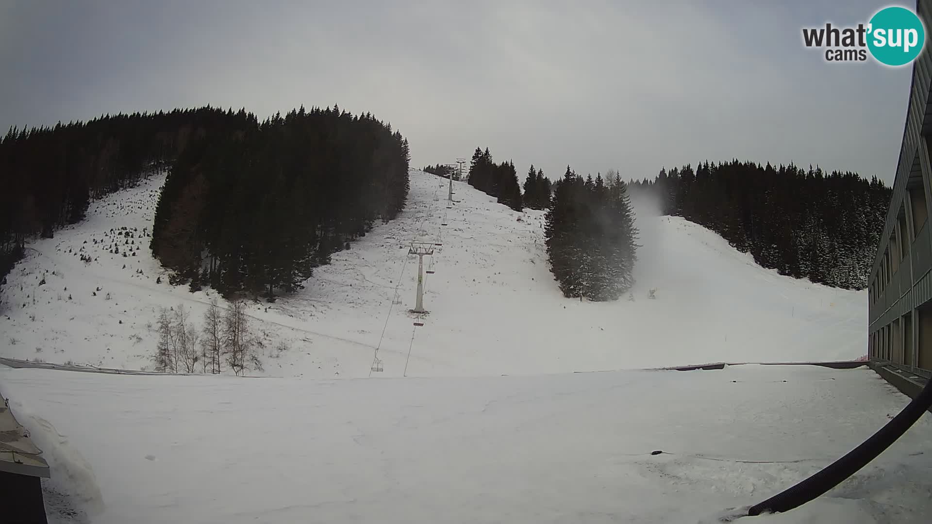 GOLTE Skigebiet webcam – Schöne Aussicht auf Medvedjak – Slowenien