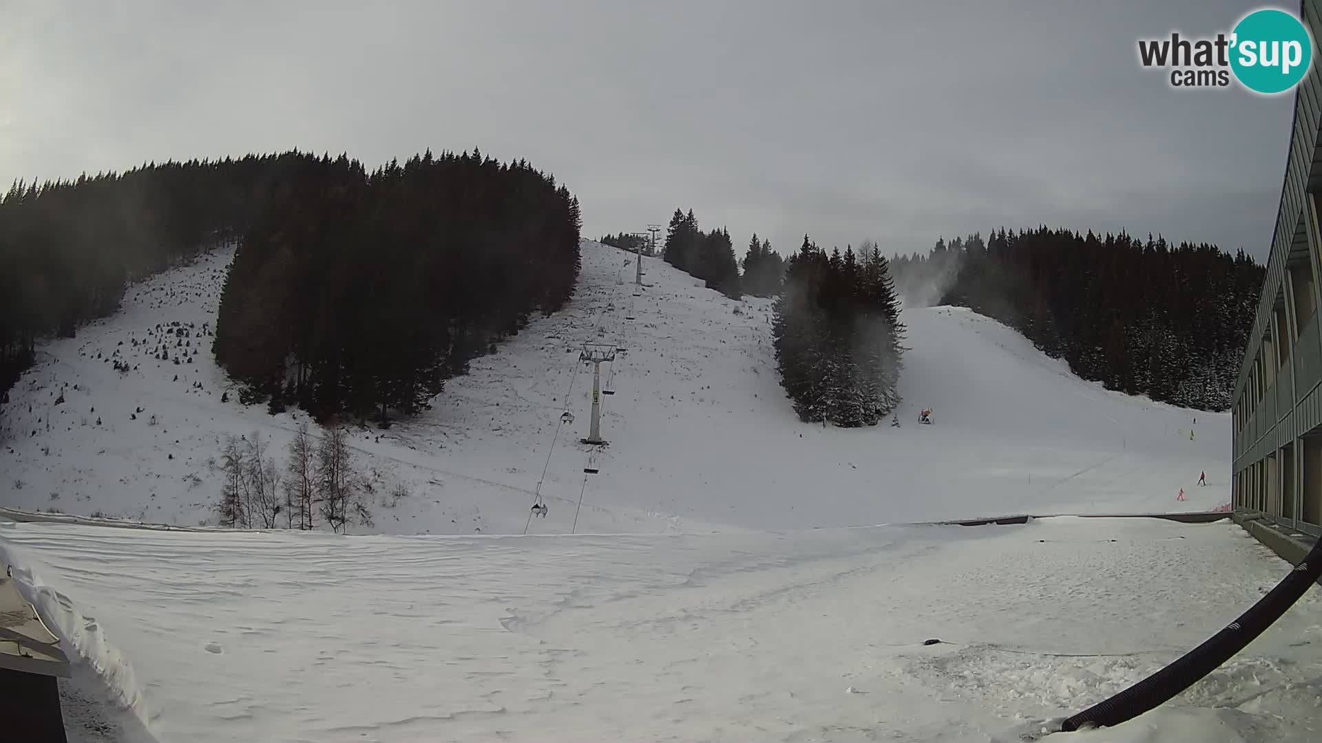 Spletna kamera smučišča GOLTE v živo – pogled na Medvedjak