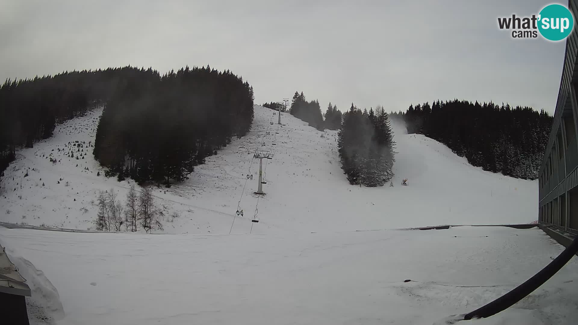 GOLTE Skigebiet webcam – Schöne Aussicht auf Medvedjak – Slowenien