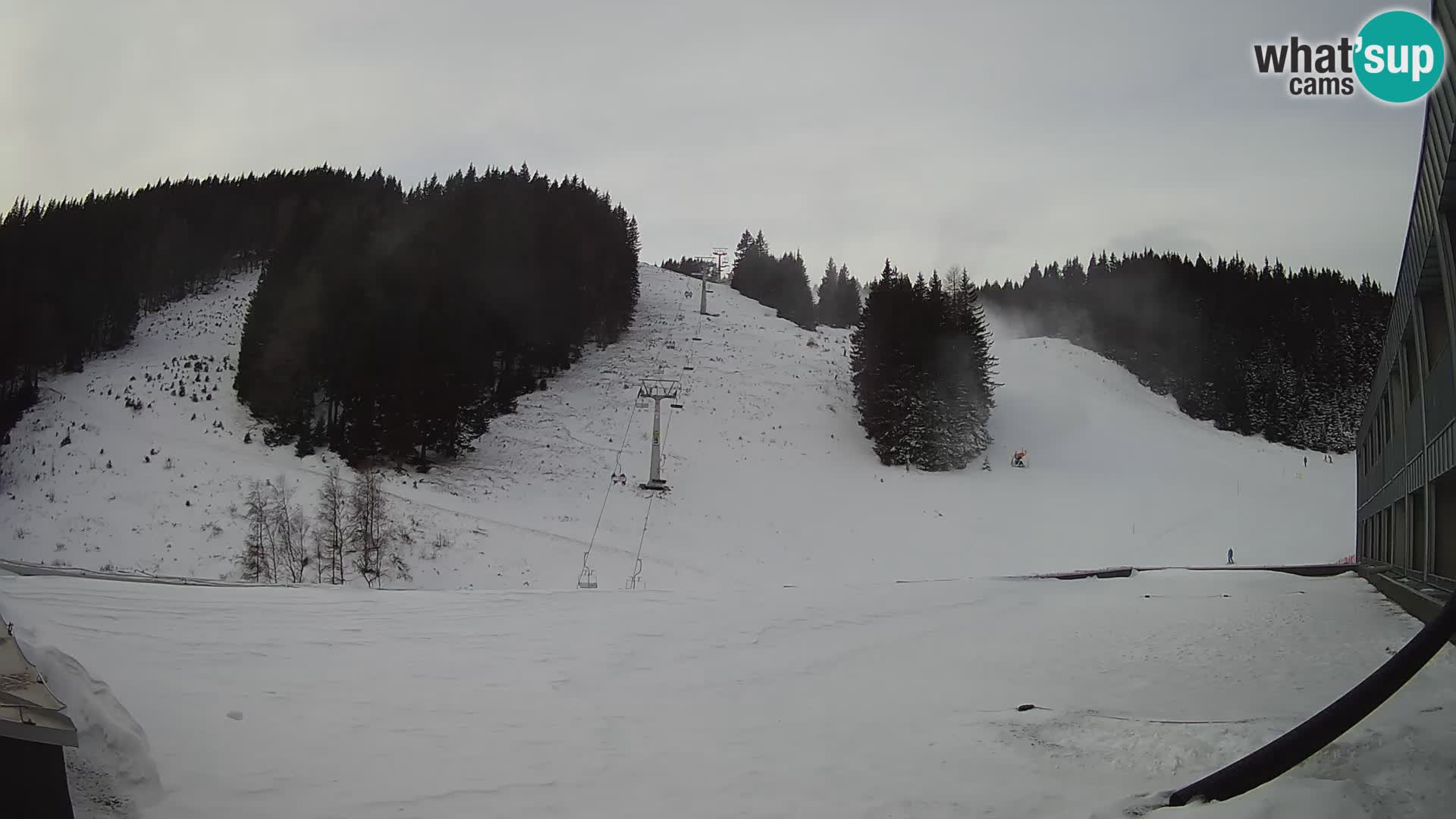 GOLTE Skigebiet webcam – Schöne Aussicht auf Medvedjak – Slowenien