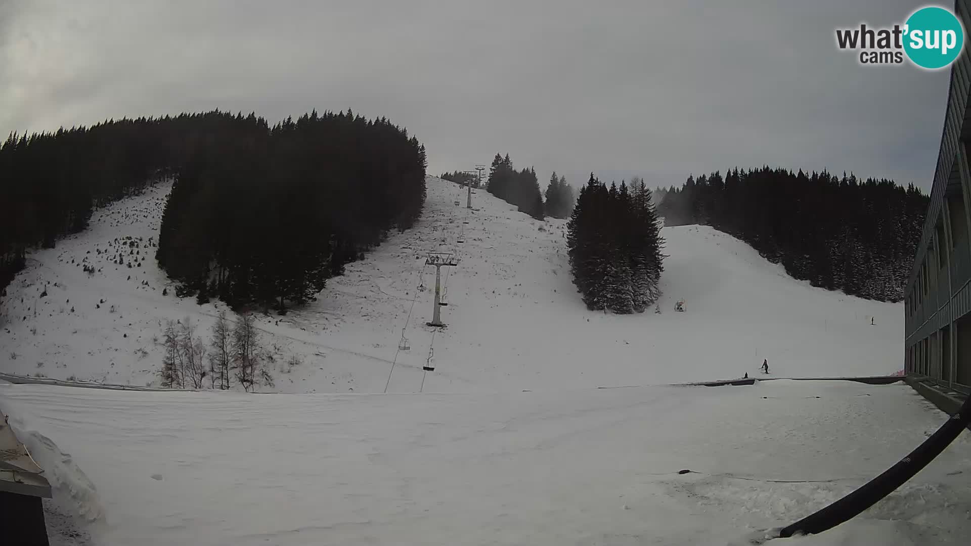 GOLTE Skigebiet webcam – Schöne Aussicht auf Medvedjak – Slowenien