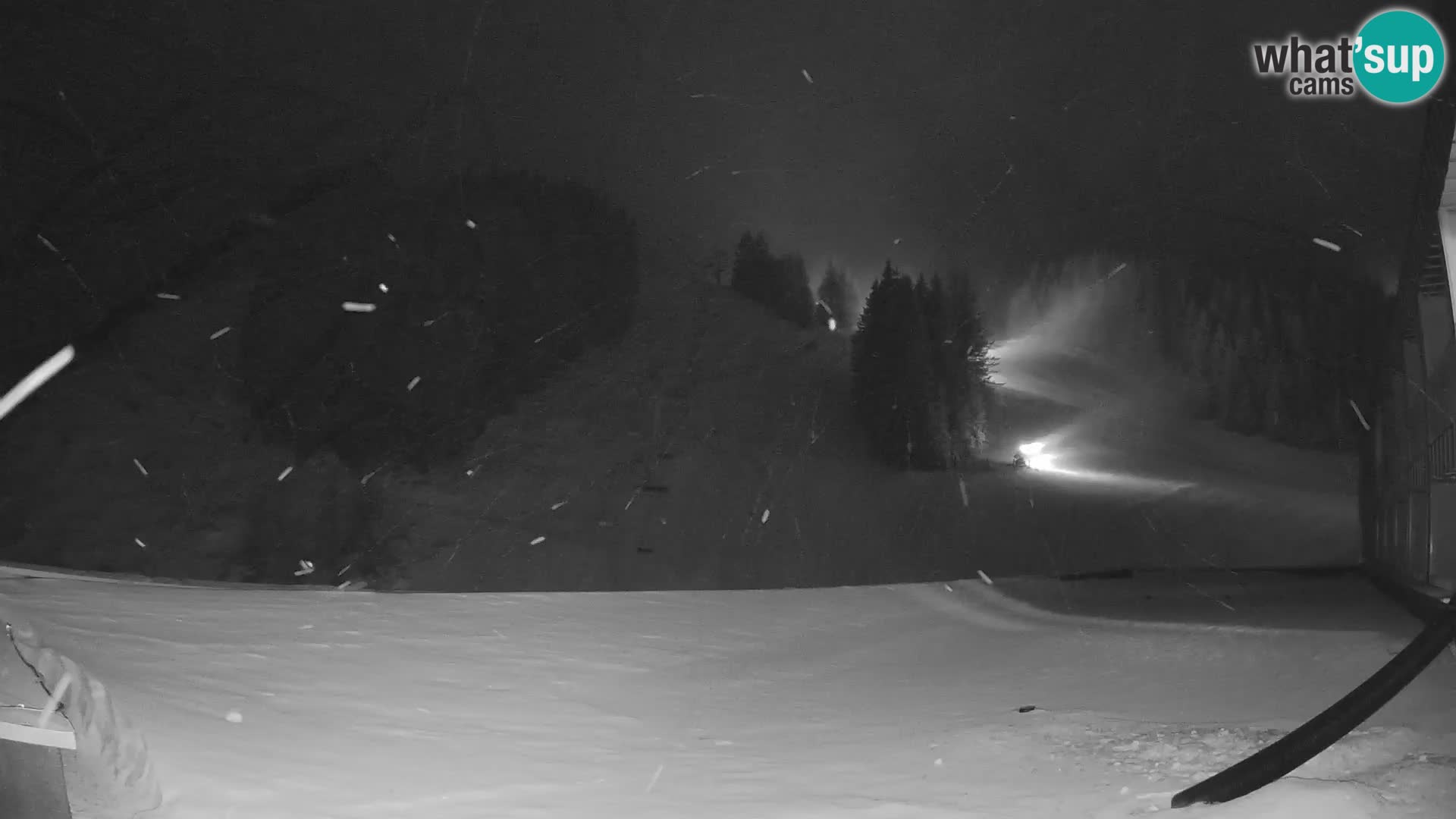 GOLTE Skigebiet webcam – Schöne Aussicht auf Medvedjak – Slowenien