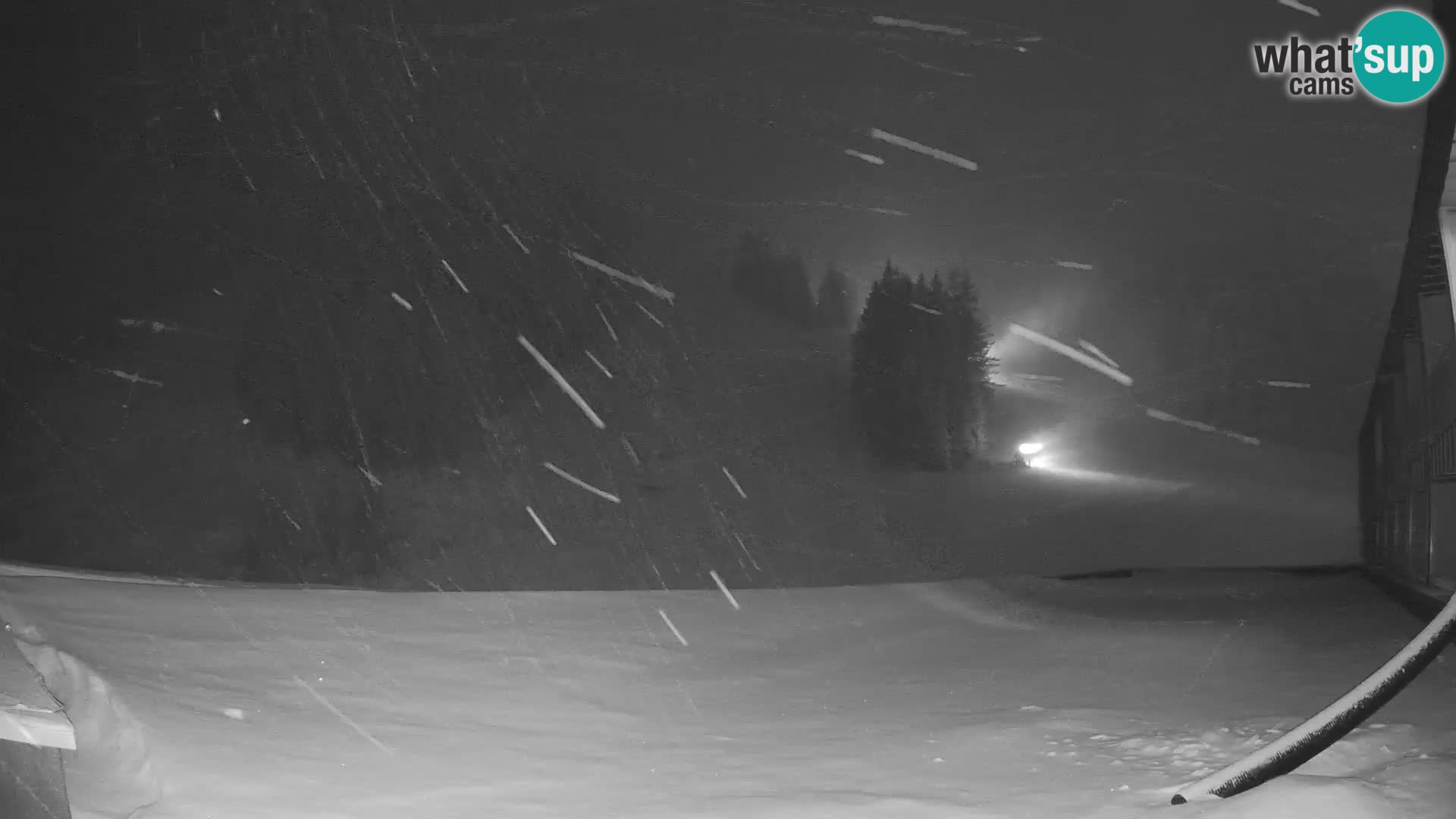 GOLTE Skigebiet webcam – Schöne Aussicht auf Medvedjak – Slowenien