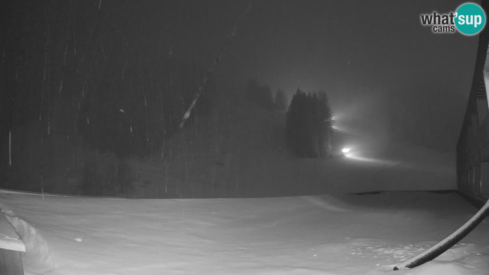 GOLTE Skigebiet webcam – Schöne Aussicht auf Medvedjak – Slowenien