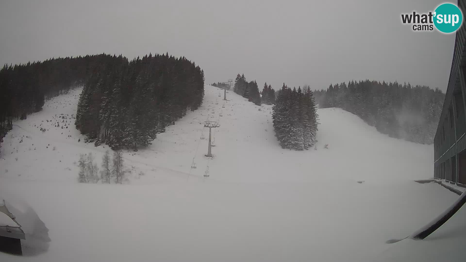 GOLTE Skigebiet webcam – Schöne Aussicht auf Medvedjak – Slowenien