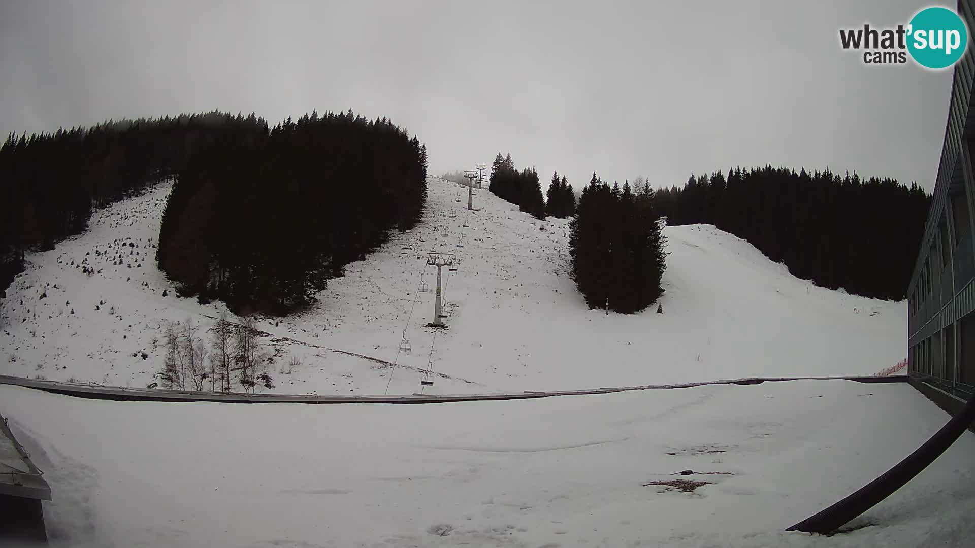 GOLTE Skigebiet webcam – Schöne Aussicht auf Medvedjak – Slowenien