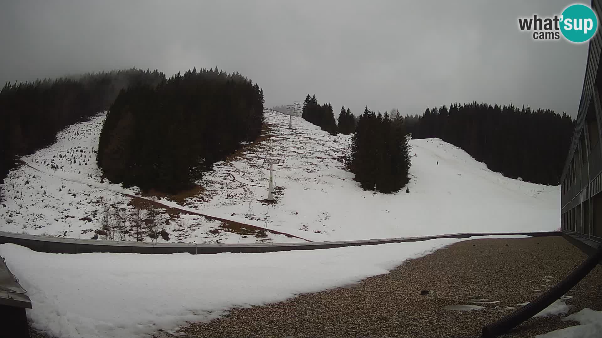 Spletna kamera smučišča GOLTE v živo – pogled na Medvedjak