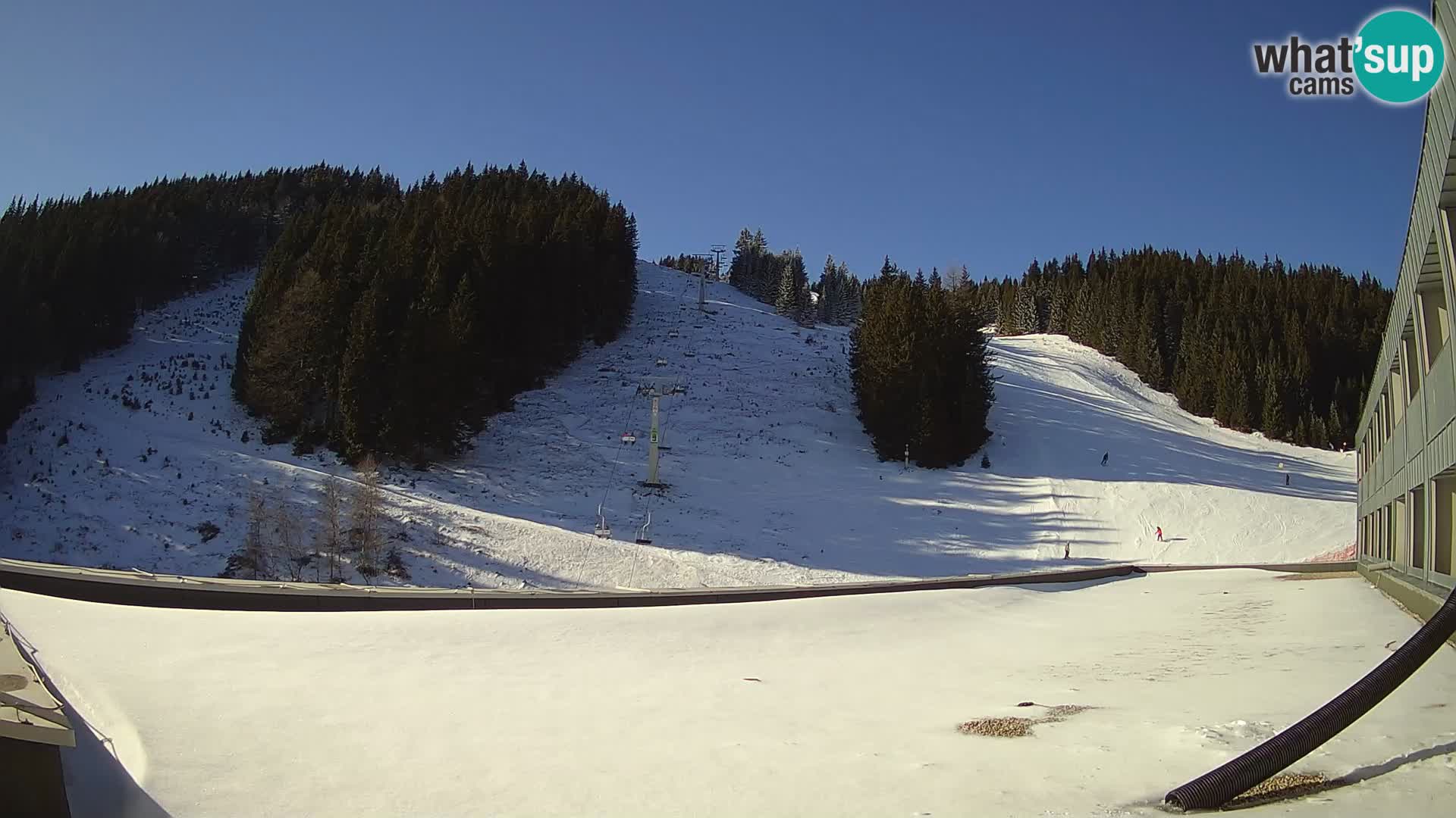 GOLTE stazione sciistica webcam – vista Medvedjak – Slovenia