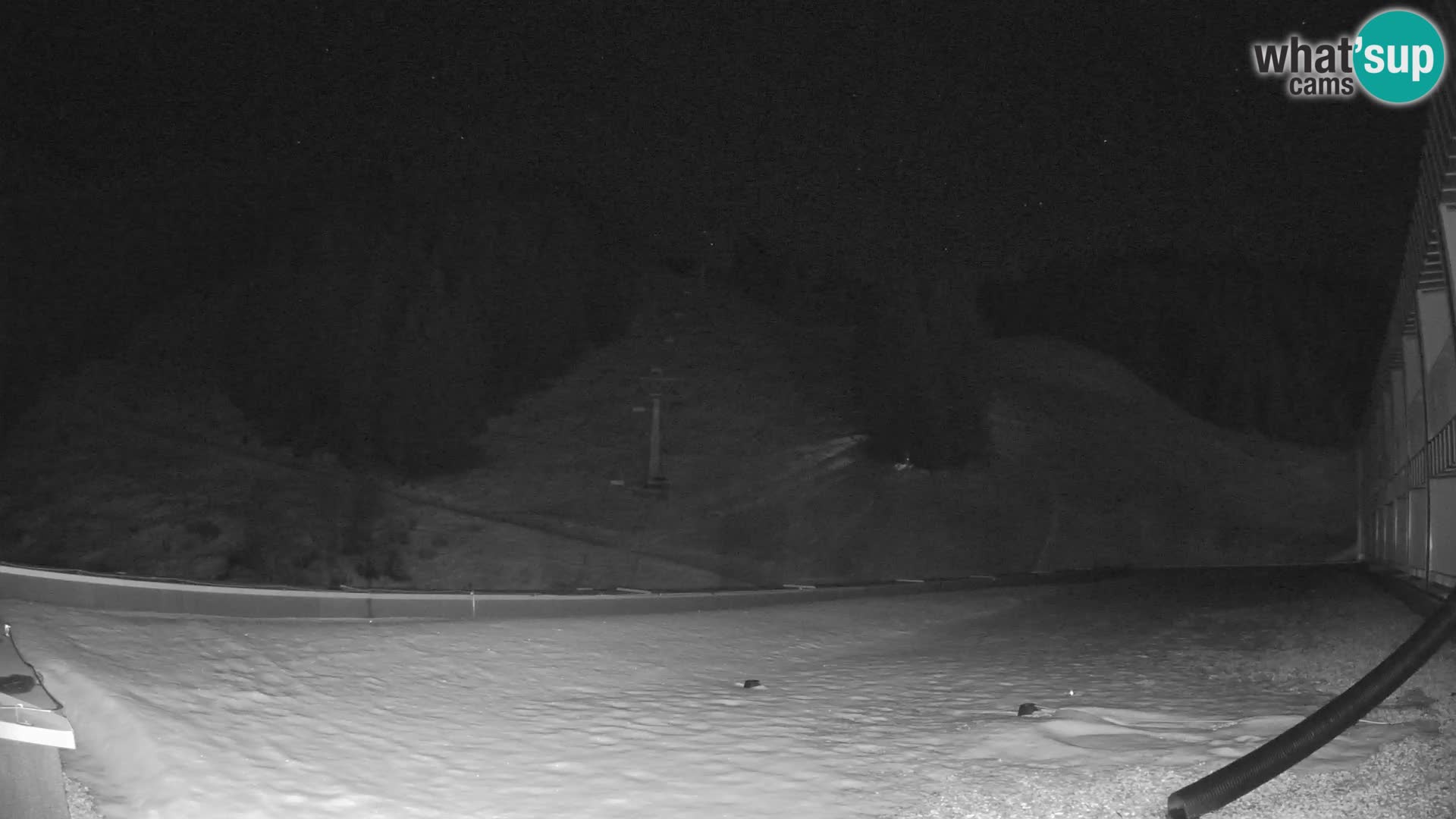 GOLTE Skigebiet webcam – Schöne Aussicht auf Medvedjak – Slowenien