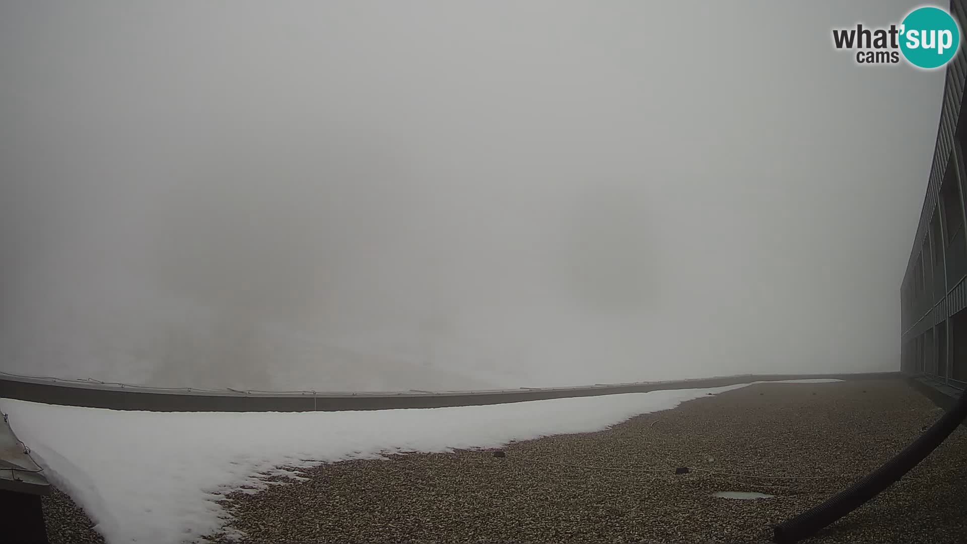 GOLTE Skigebiet webcam – Schöne Aussicht auf Medvedjak – Slowenien