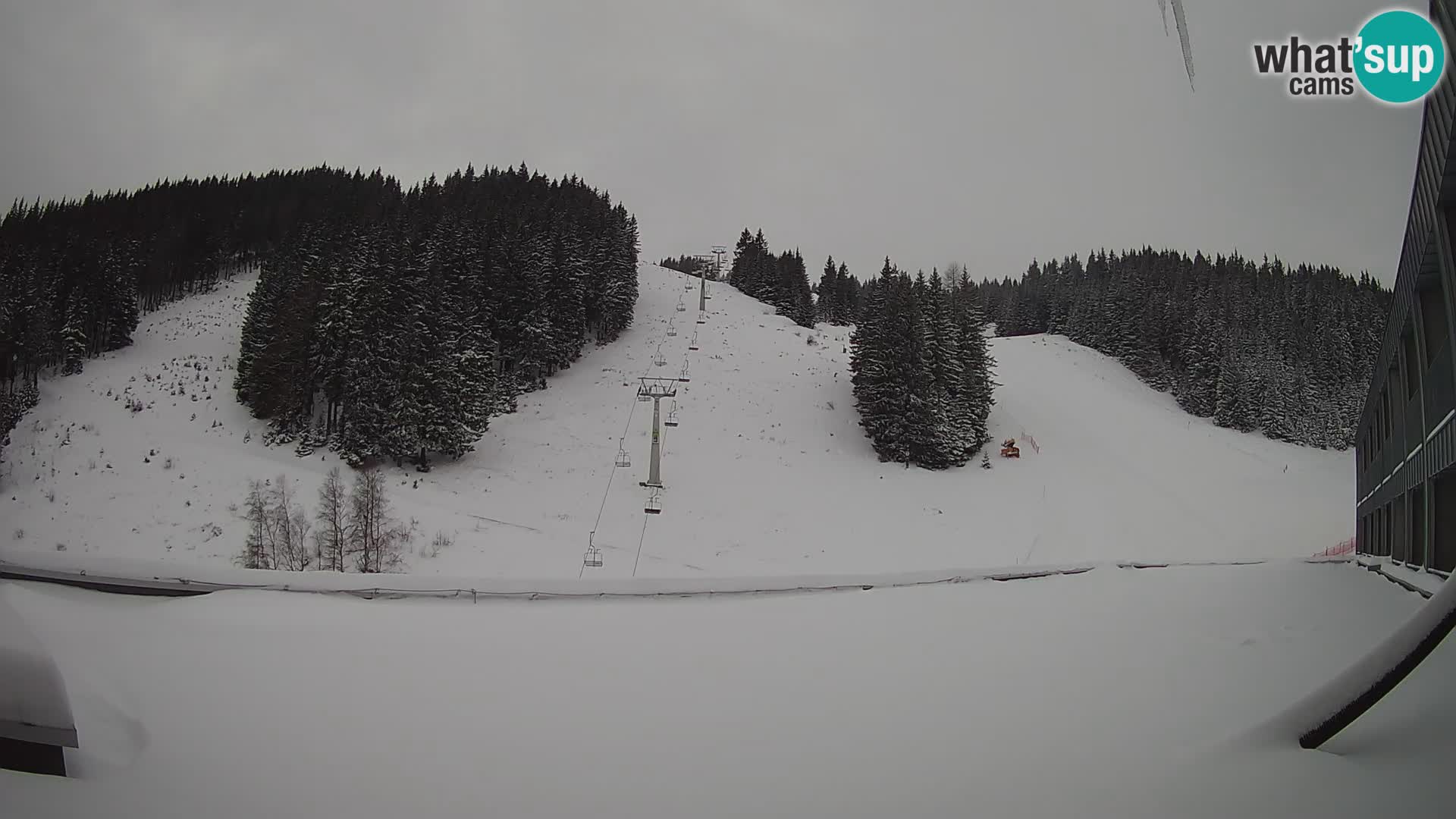 Spletna kamera smučišča GOLTE v živo – pogled na Medvedjak