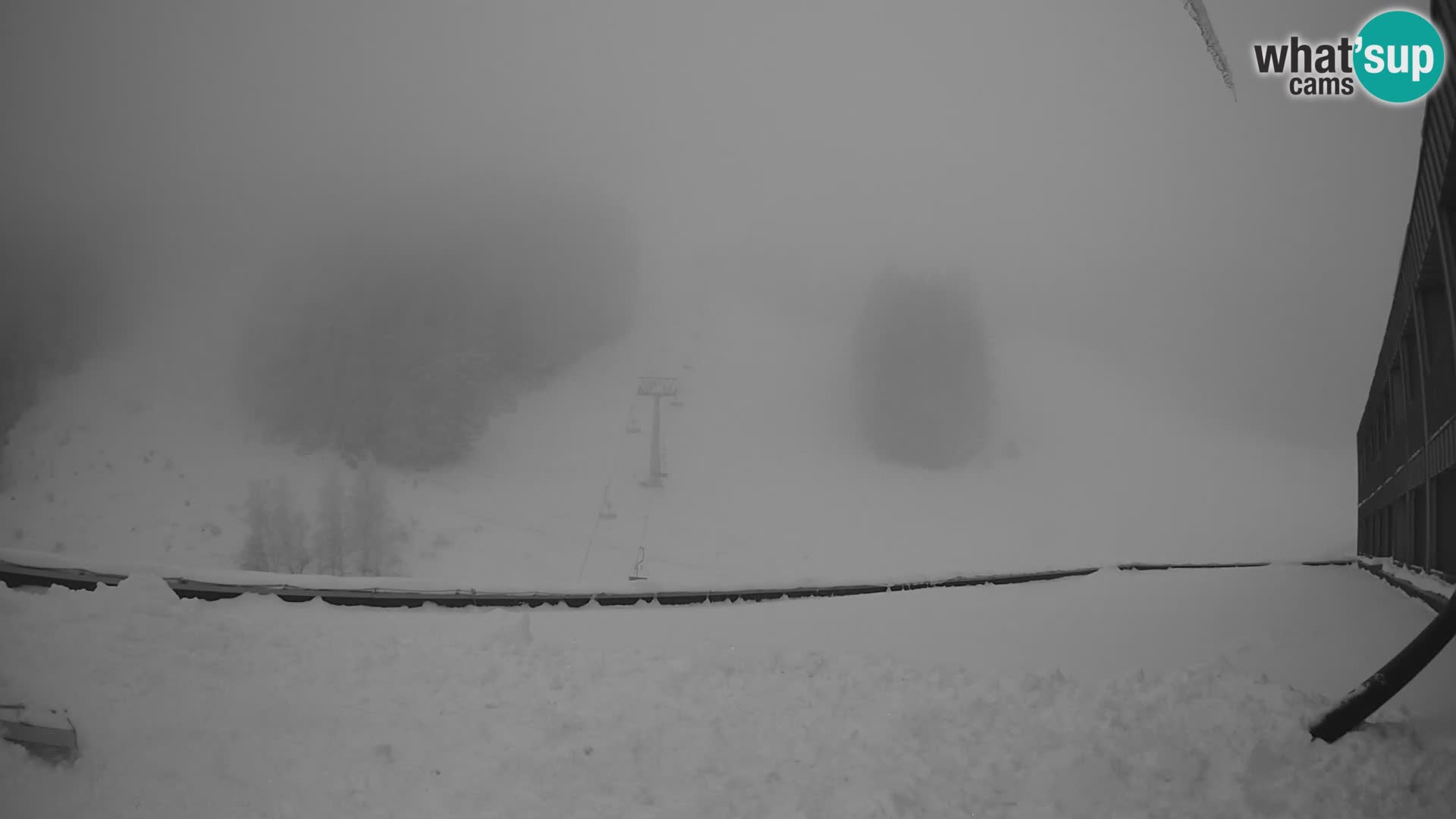 GOLTE Skigebiet webcam – Schöne Aussicht auf Medvedjak – Slowenien