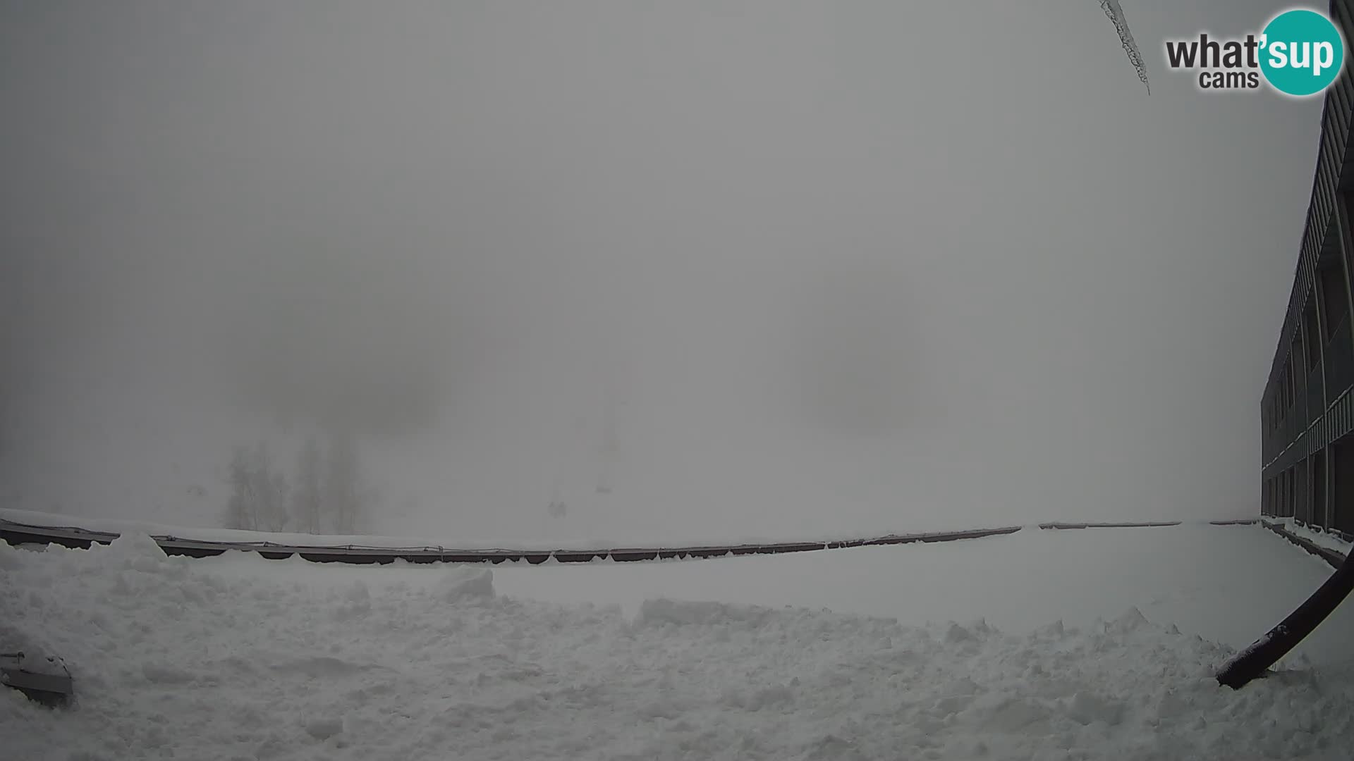 GOLTE Skigebiet webcam – Schöne Aussicht auf Medvedjak – Slowenien