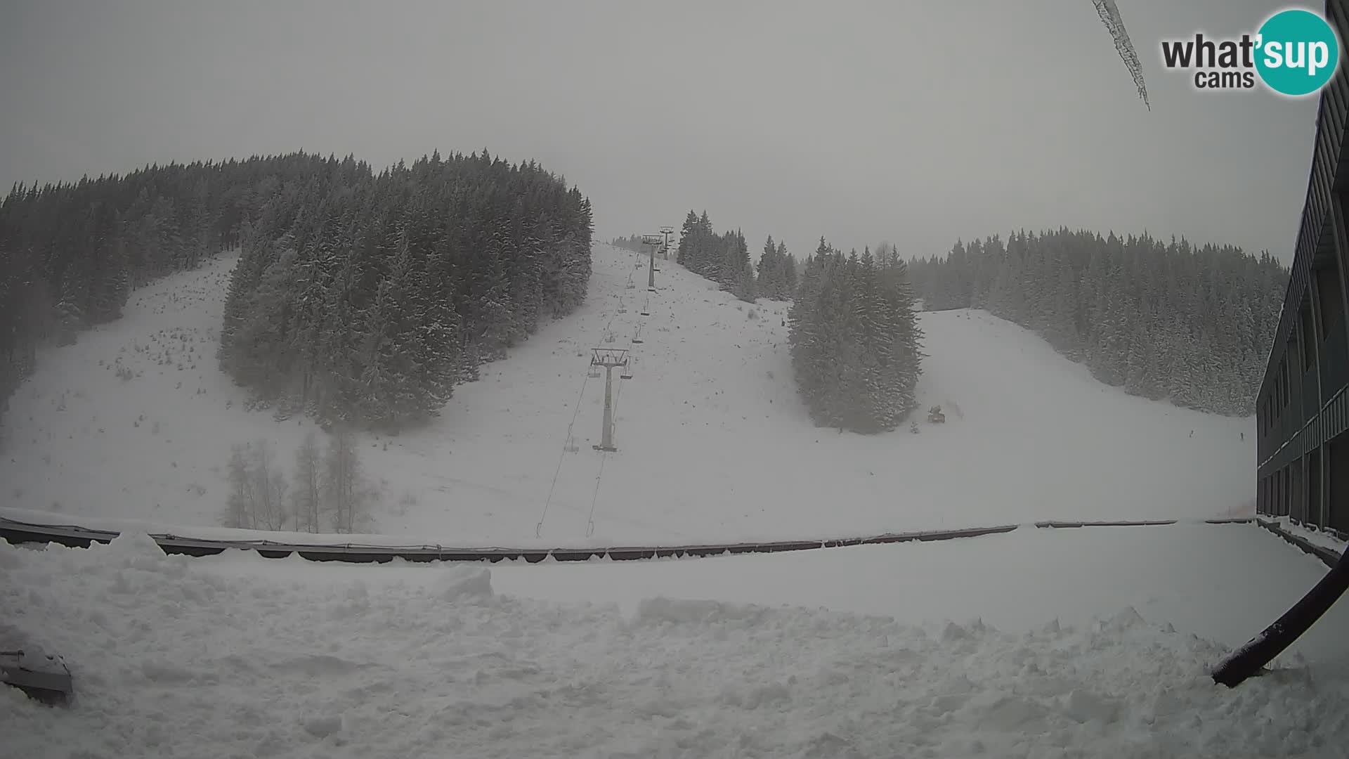 GOLTE Skigebiet webcam – Schöne Aussicht auf Medvedjak – Slowenien