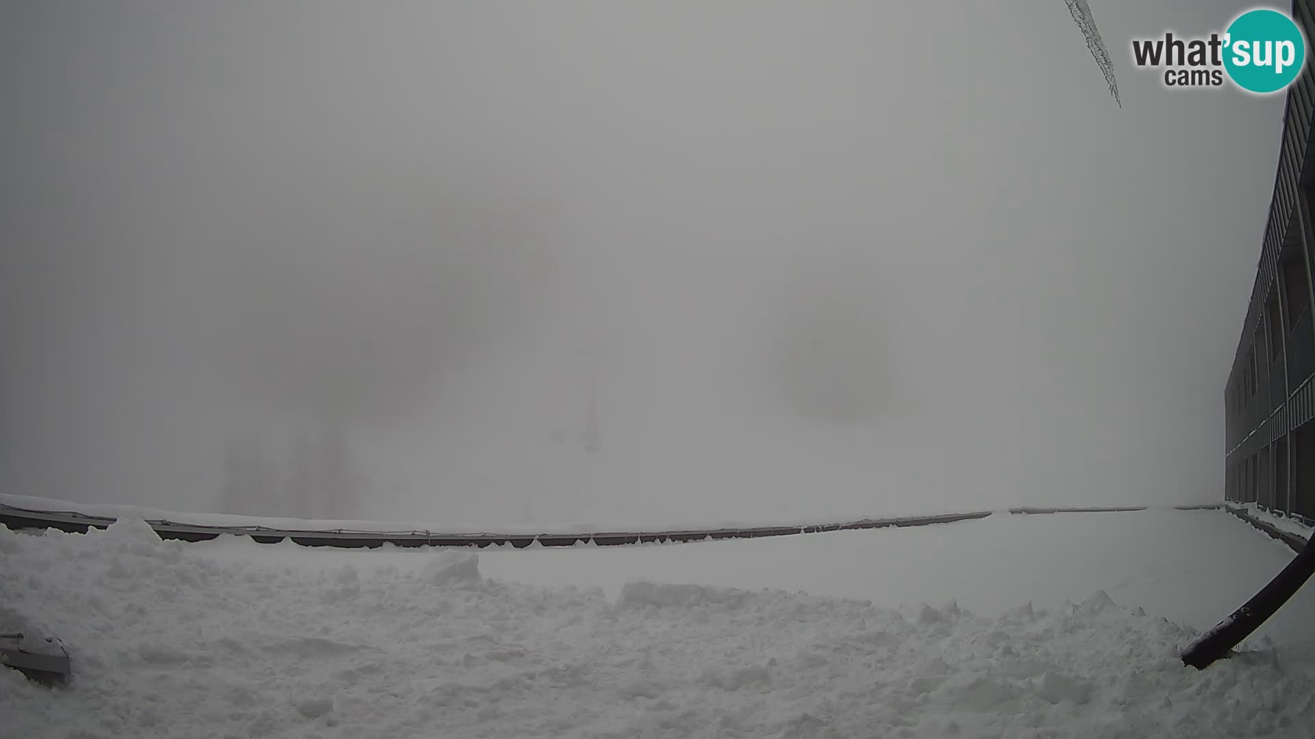 GOLTE Skigebiet webcam – Schöne Aussicht auf Medvedjak – Slowenien