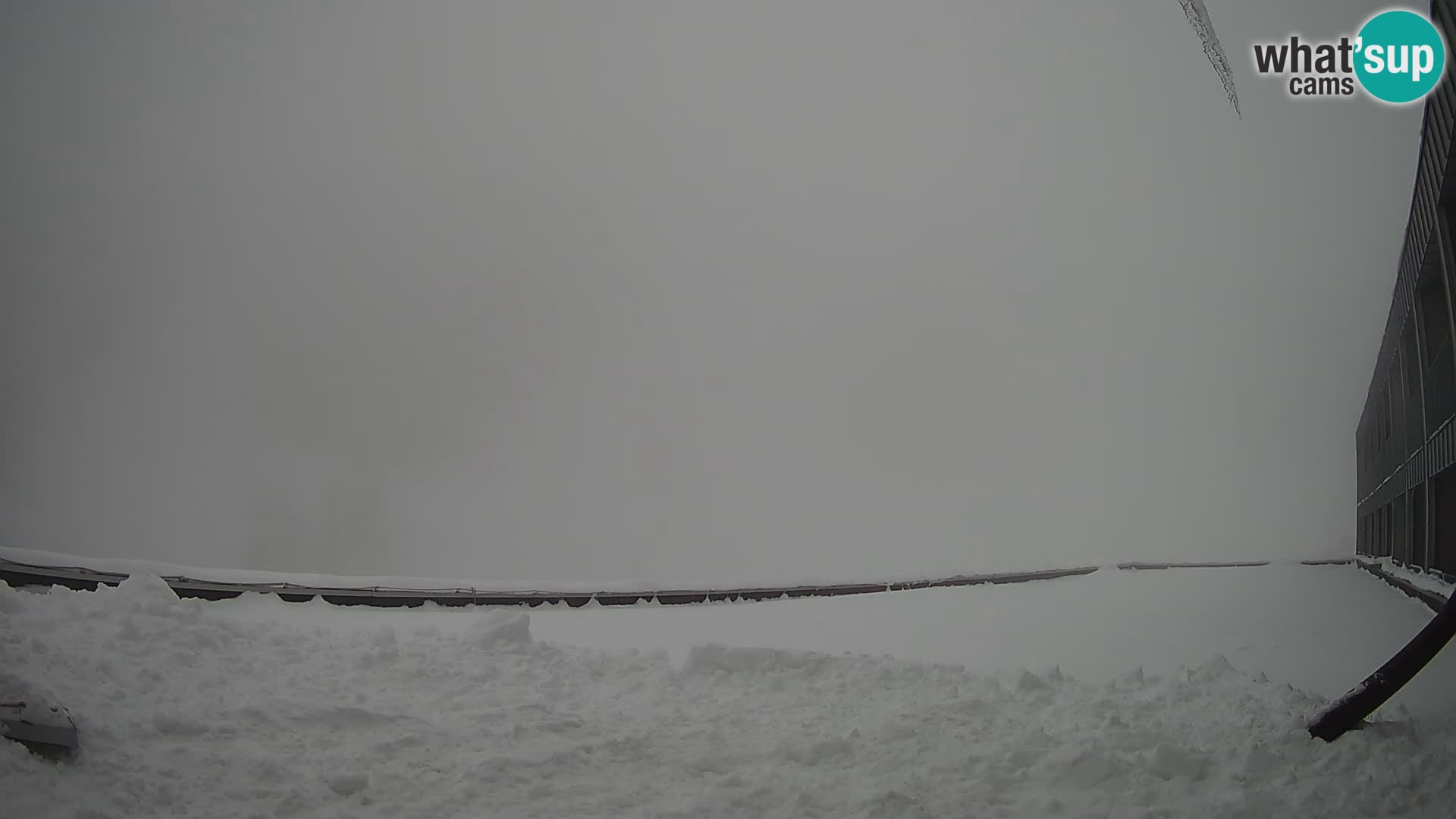 Cámara web en vivo de la estación de esquí GOLTE – vista a Medvedjak – Eslovenia