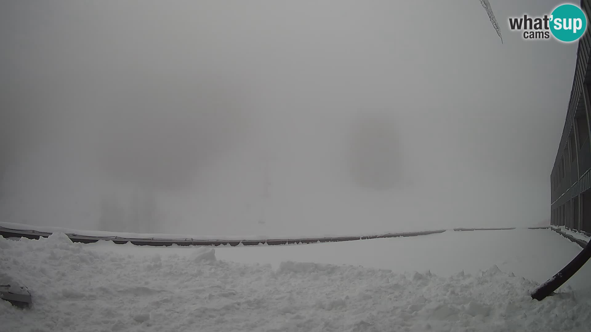 Webcam en direct de la station de ski de GOLTE – vue sur Medvedjak – Slovénie