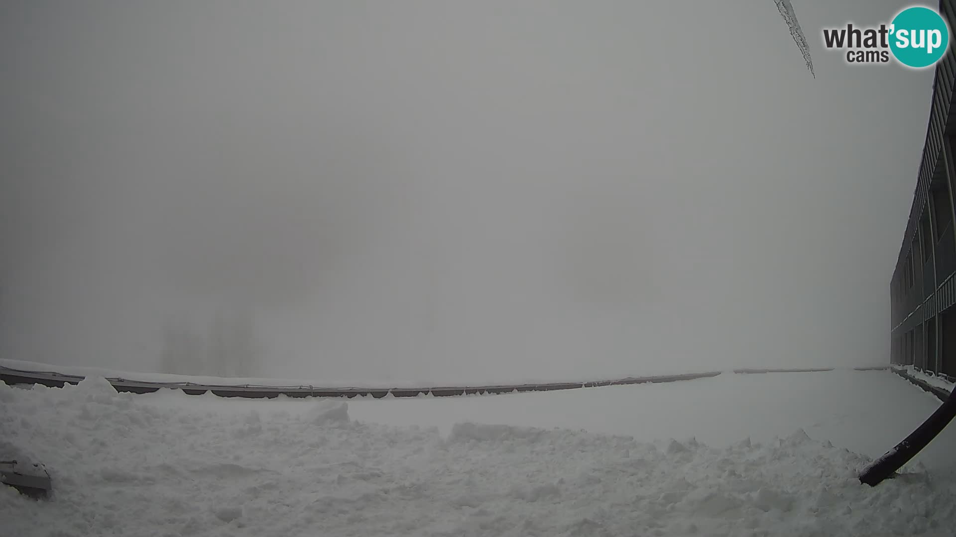 GOLTE Skigebiet webcam – Schöne Aussicht auf Medvedjak – Slowenien