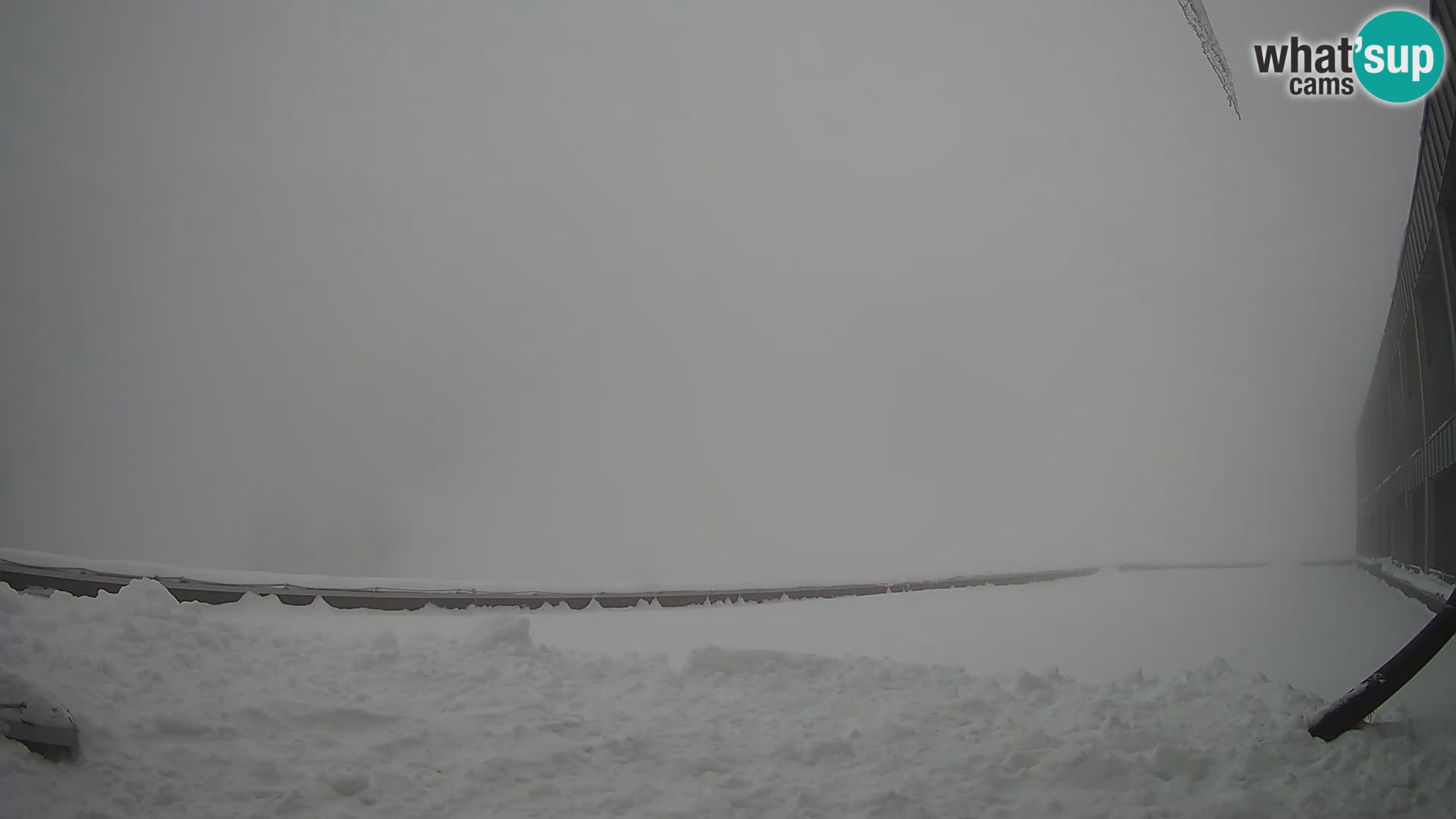 GOLTE Skigebiet webcam – Schöne Aussicht auf Medvedjak – Slowenien