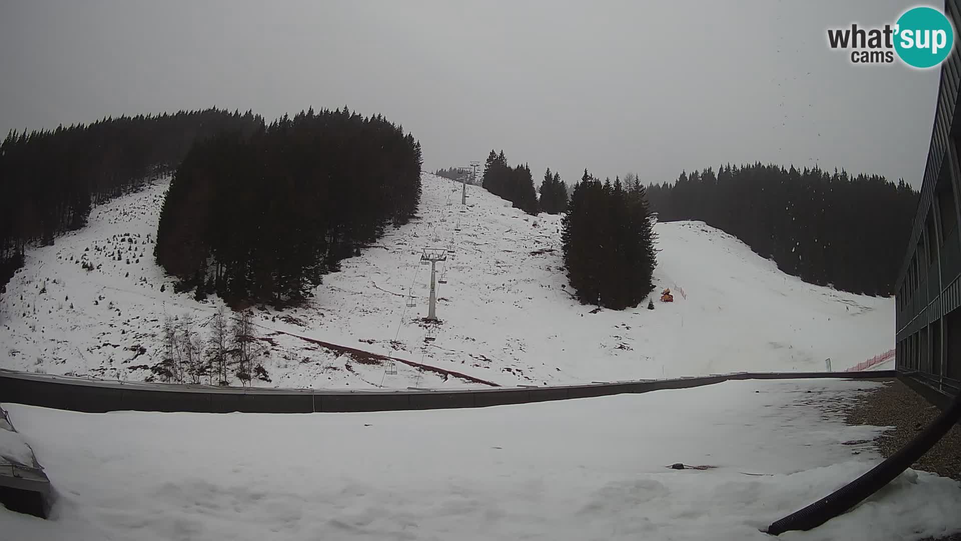 GOLTE Skigebiet webcam – Schöne Aussicht auf Medvedjak – Slowenien