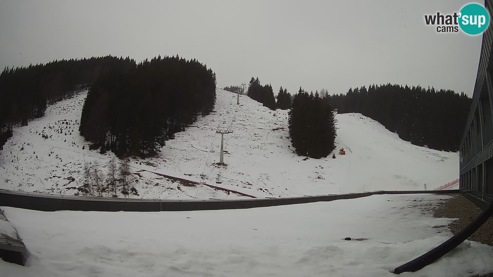 GOLTE Skigebiet webcam – Schöne Aussicht auf Medvedjak – Slowenien