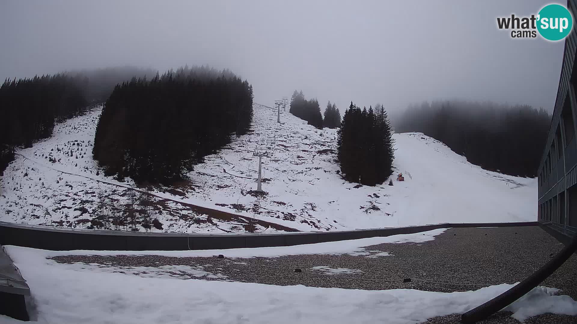 GOLTE Skigebiet webcam – Schöne Aussicht auf Medvedjak – Slowenien