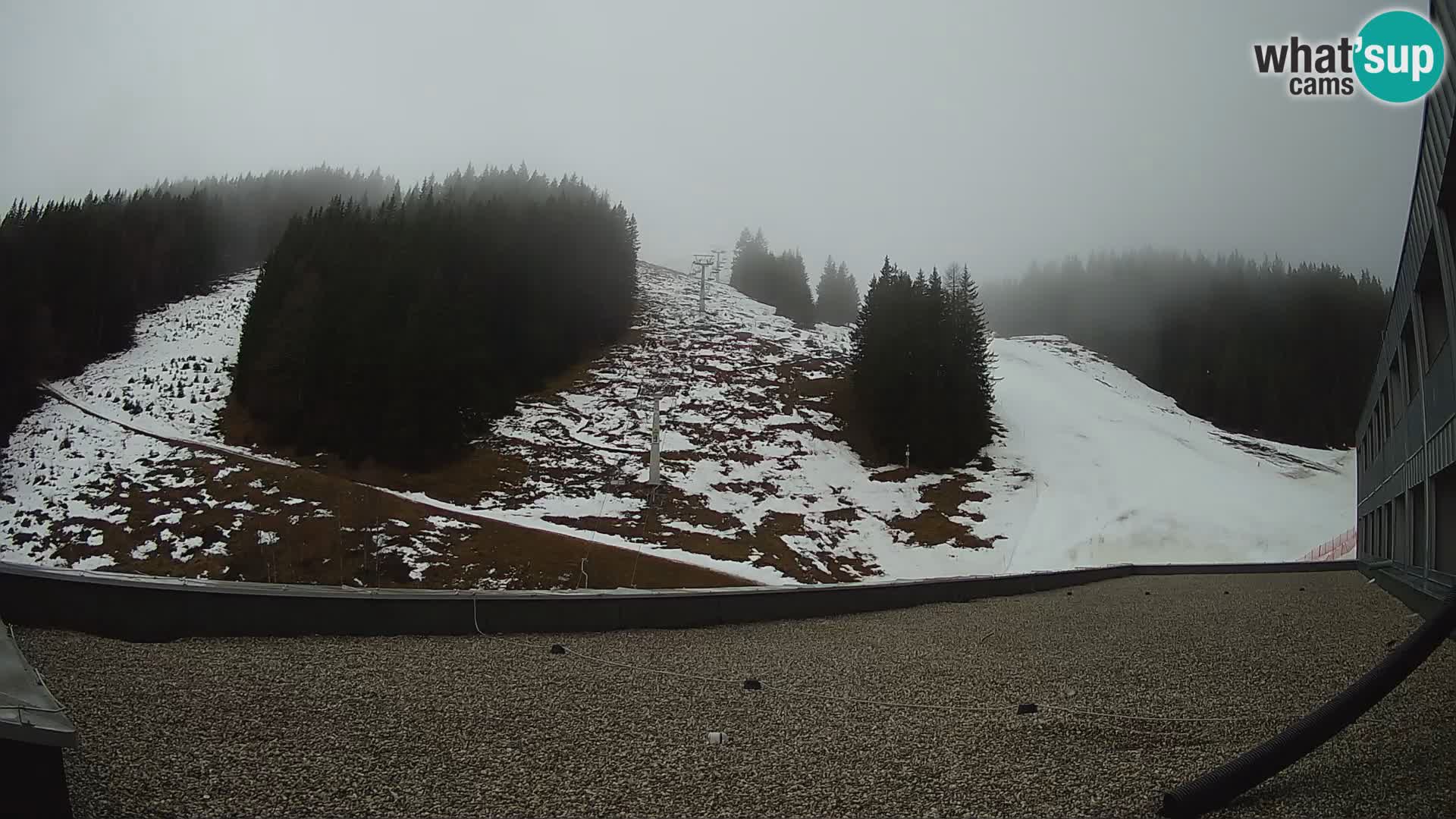 GOLTE Skigebiet webcam – Schöne Aussicht auf Medvedjak – Slowenien